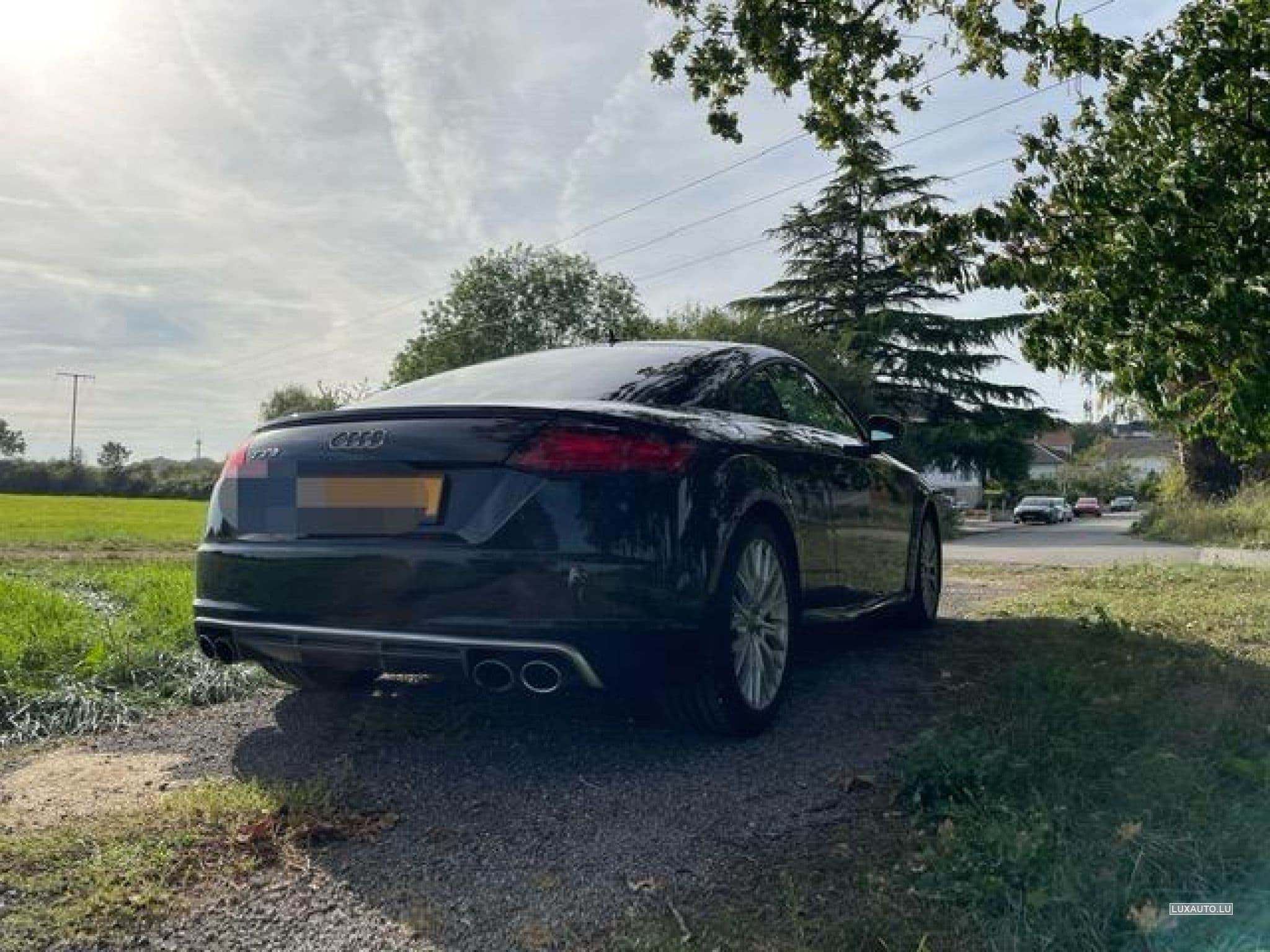 Audi TTS TTS (2017) - Photo 3