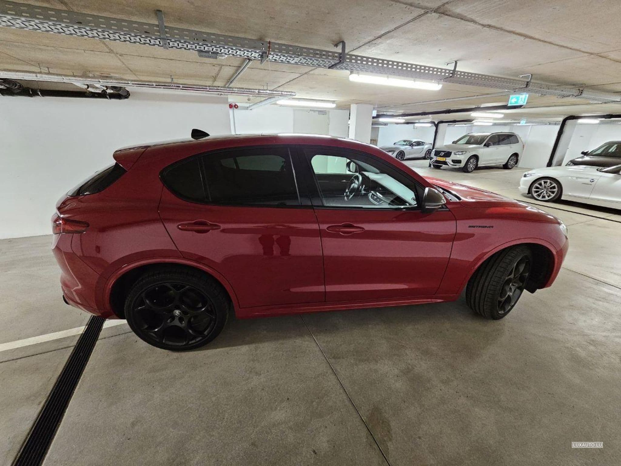 Alfa-Romeo Stelvio Estrema (2022) - Photo 4