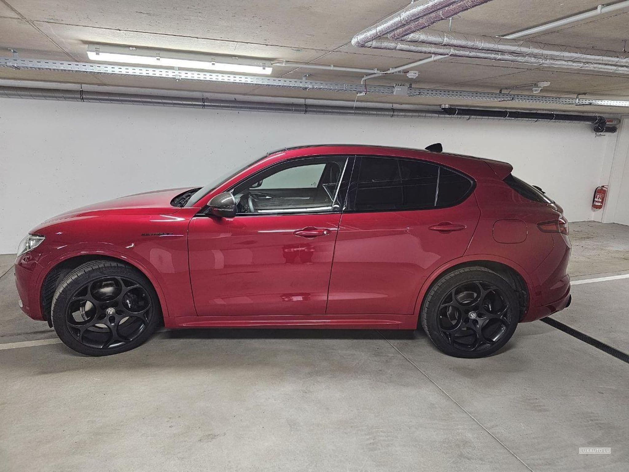 Alfa-Romeo Stelvio Estrema (2022) - Photo 5