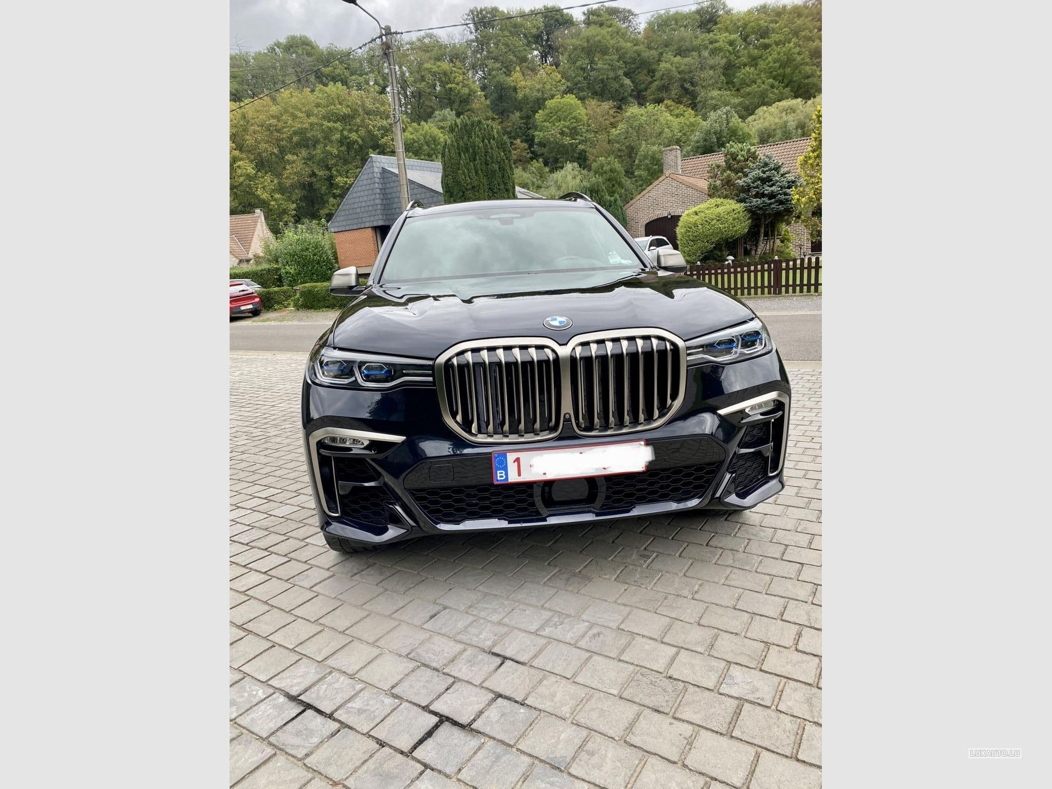 BMW X7 M50 dAS ADBLUE (2019) - Foto 2
