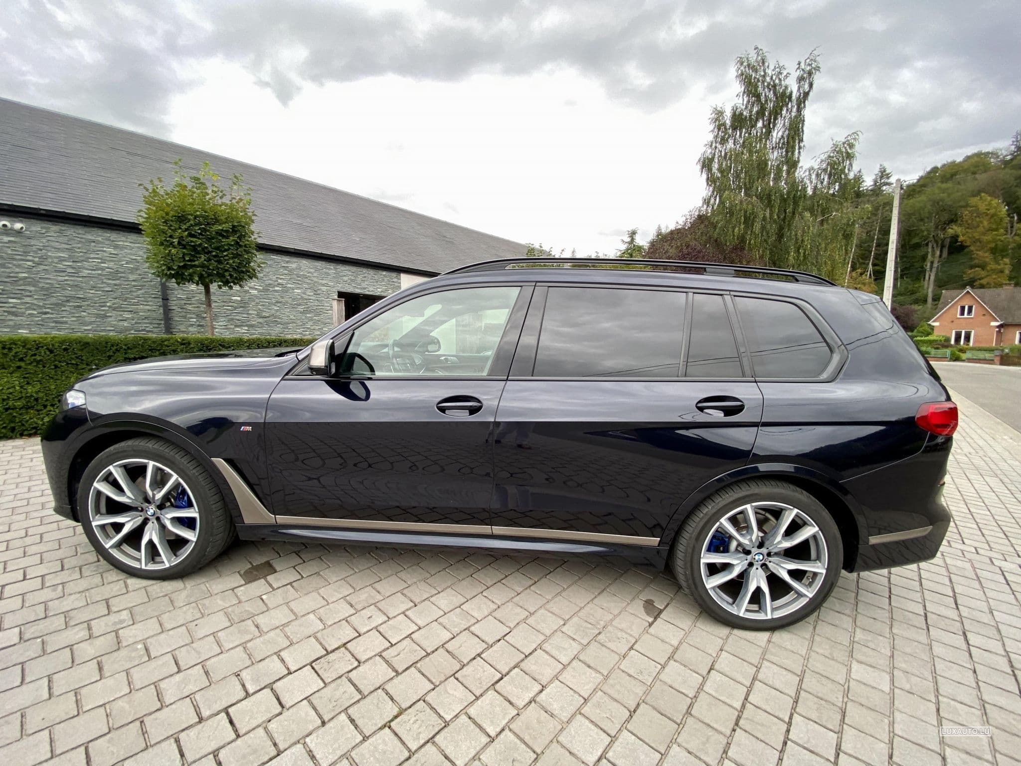 BMW X7 M50 dAS ADBLUE (2019) - Foto 4