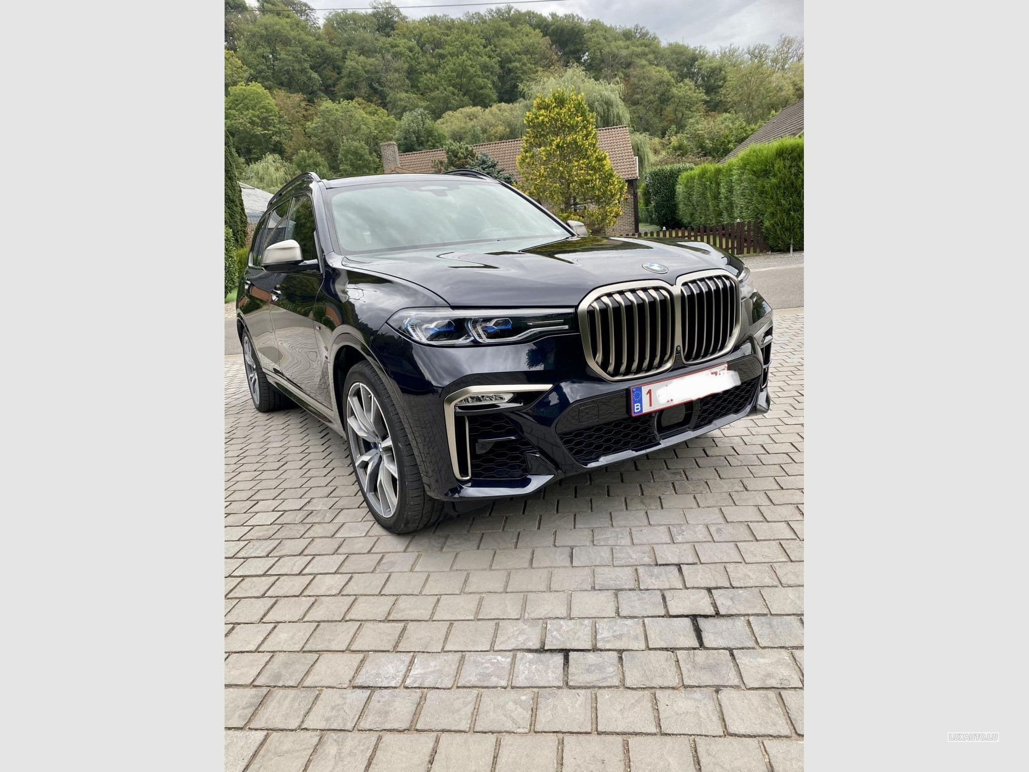 BMW X7 M50 dAS ADBLUE (2019) - Foto 6