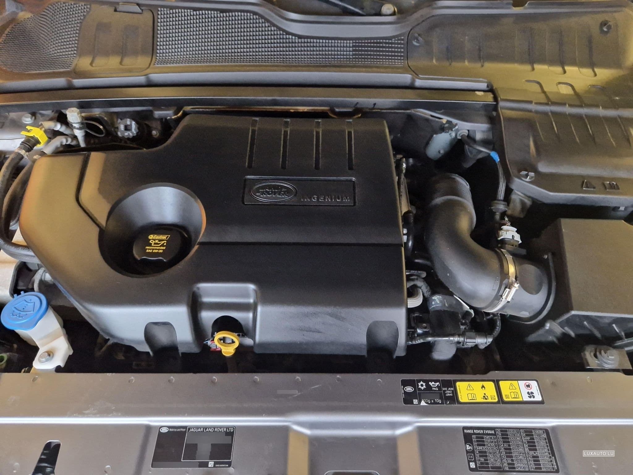 Land-Rover Range Rover Evoque (2017) - Photo 11