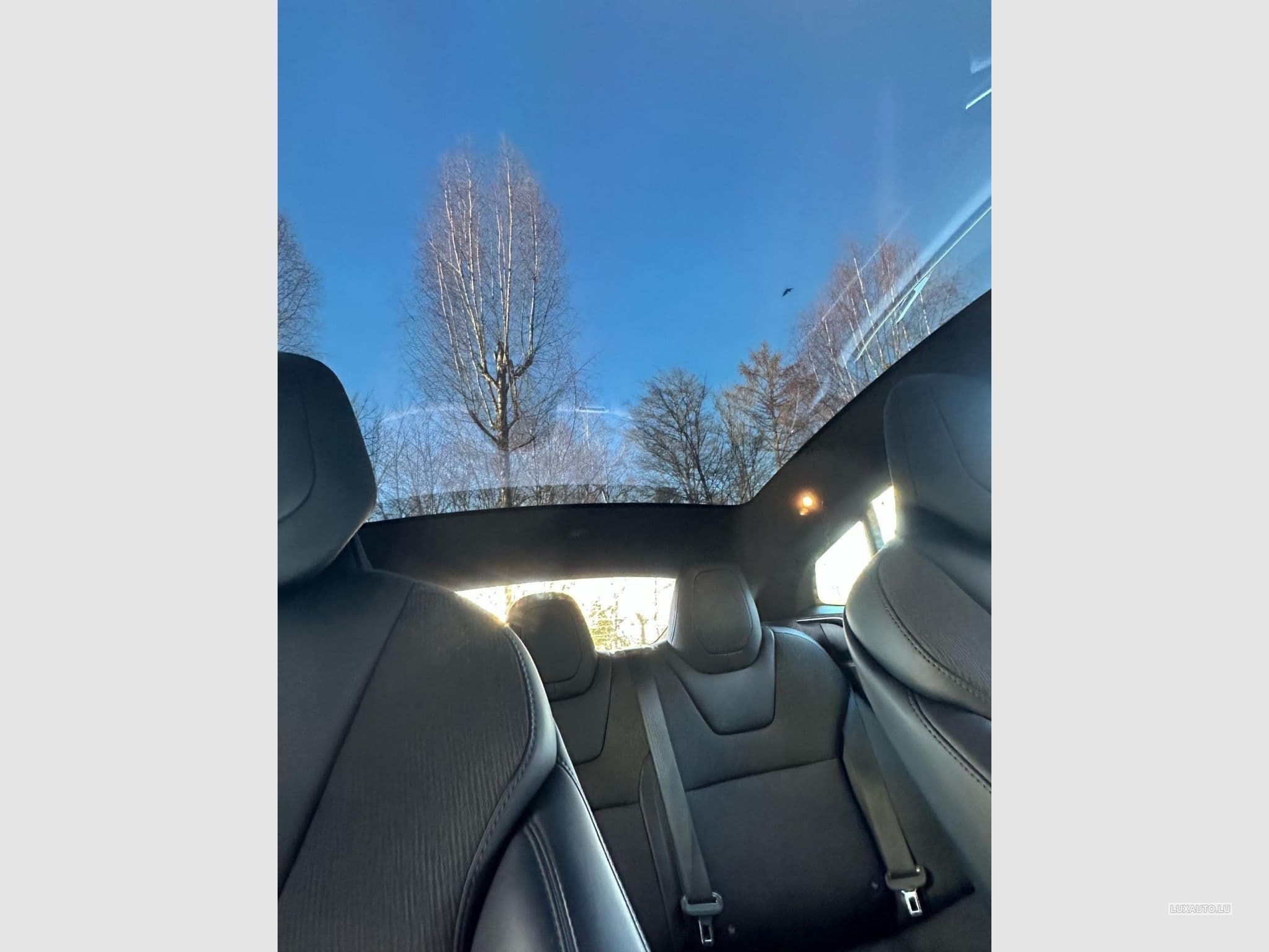 Tesla Model S Panorama, 525 HP 75 D. 4 Wheel. (2017) - Foto 5