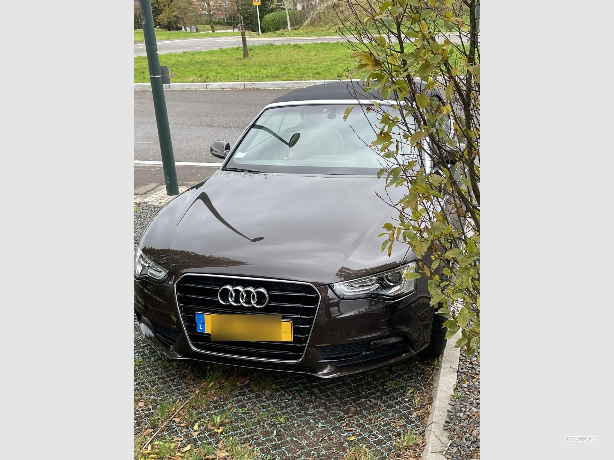 Audi A5 (2013) - Photo 2