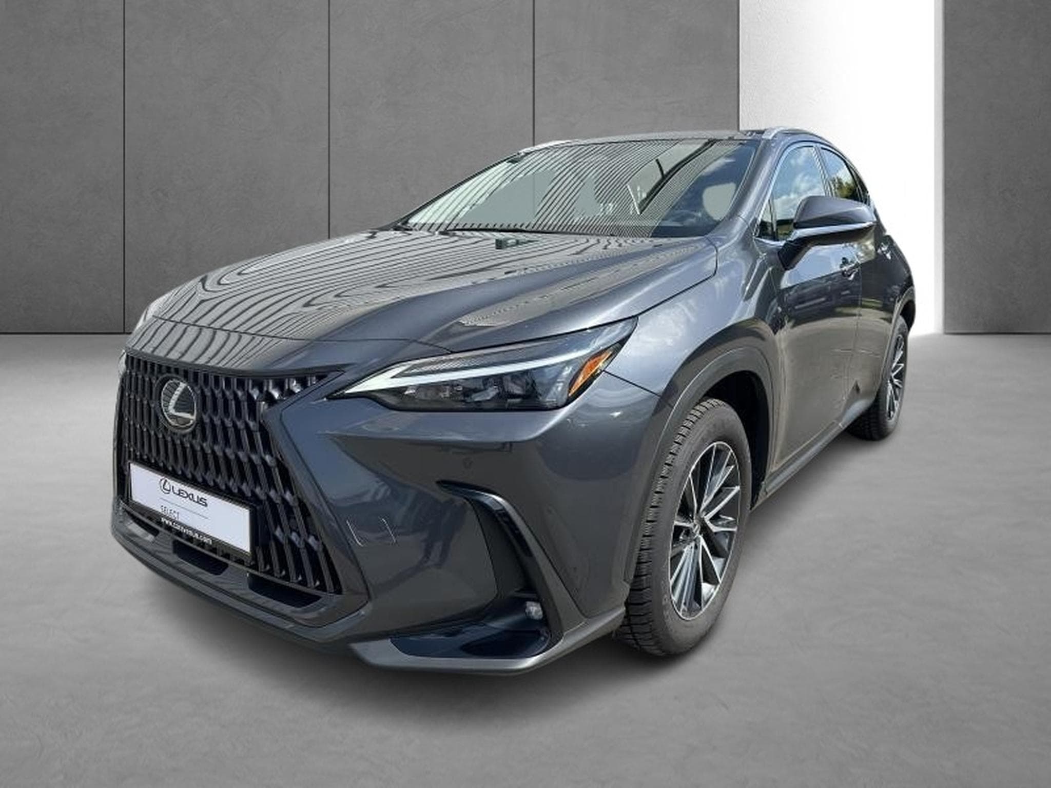 Lexus NX Business Line (2023) - Foto 10