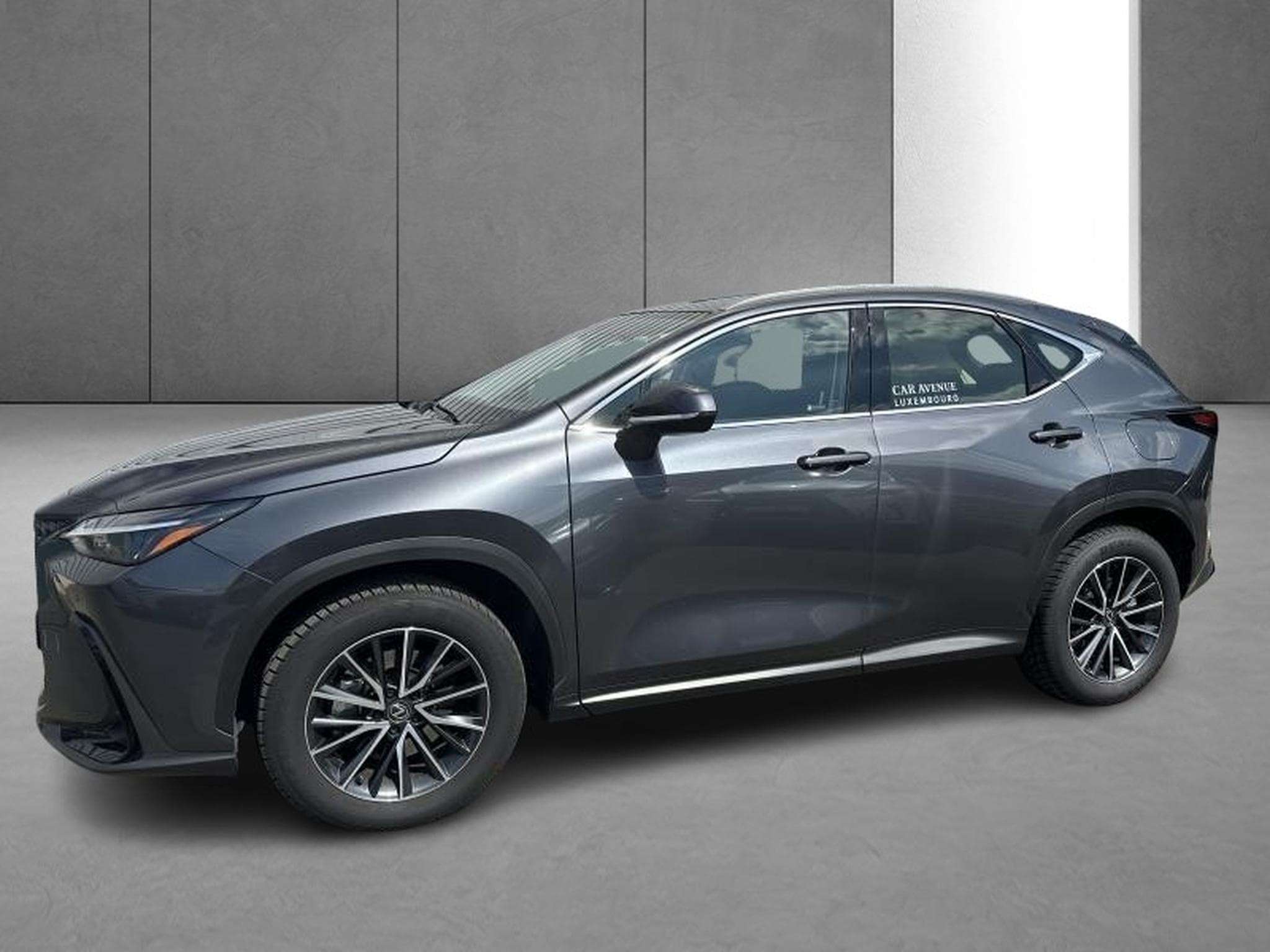 Lexus NX Business Line (2023) - Foto 2
