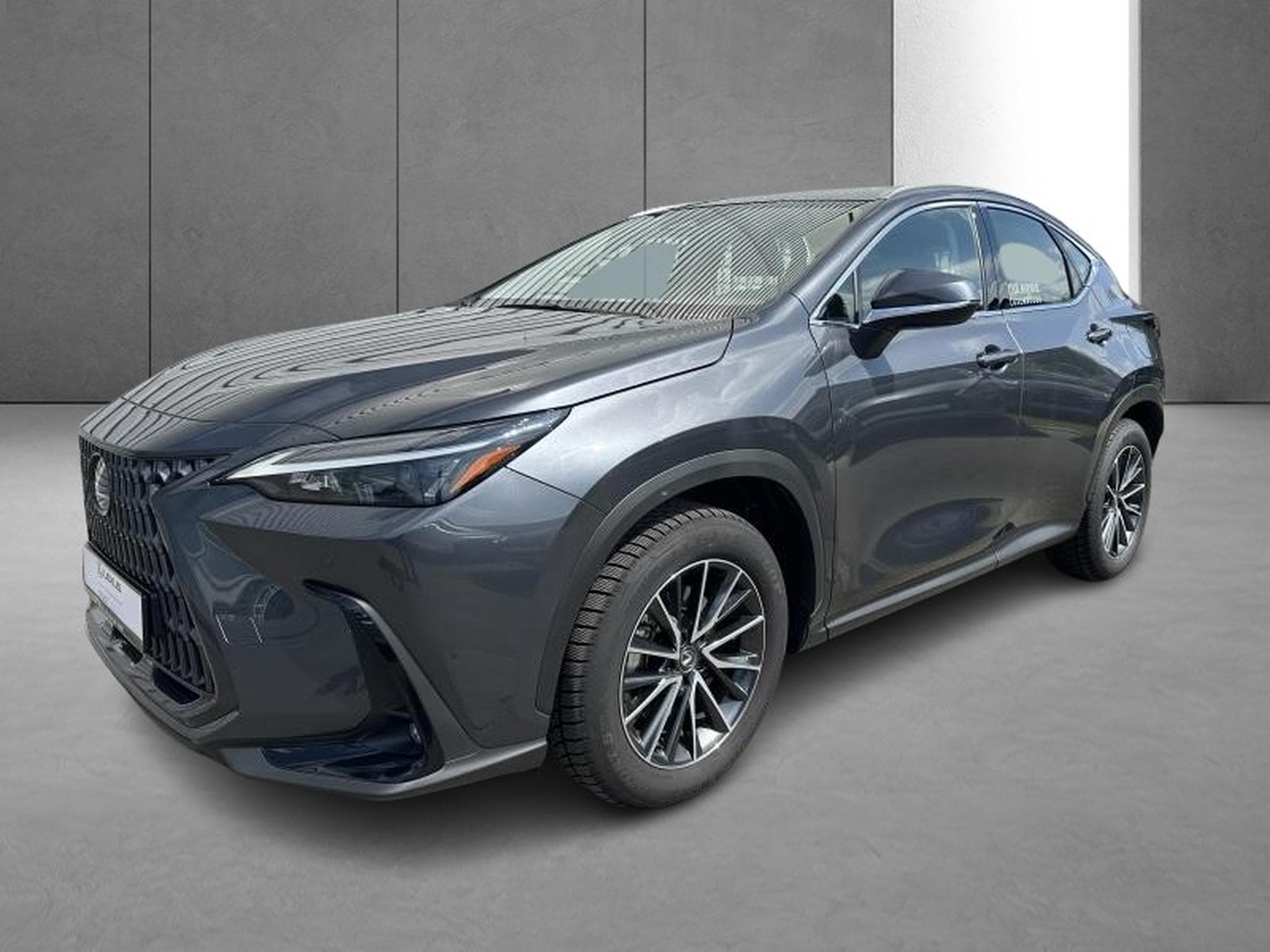 Lexus NX Business Line (2023) - Photo 31