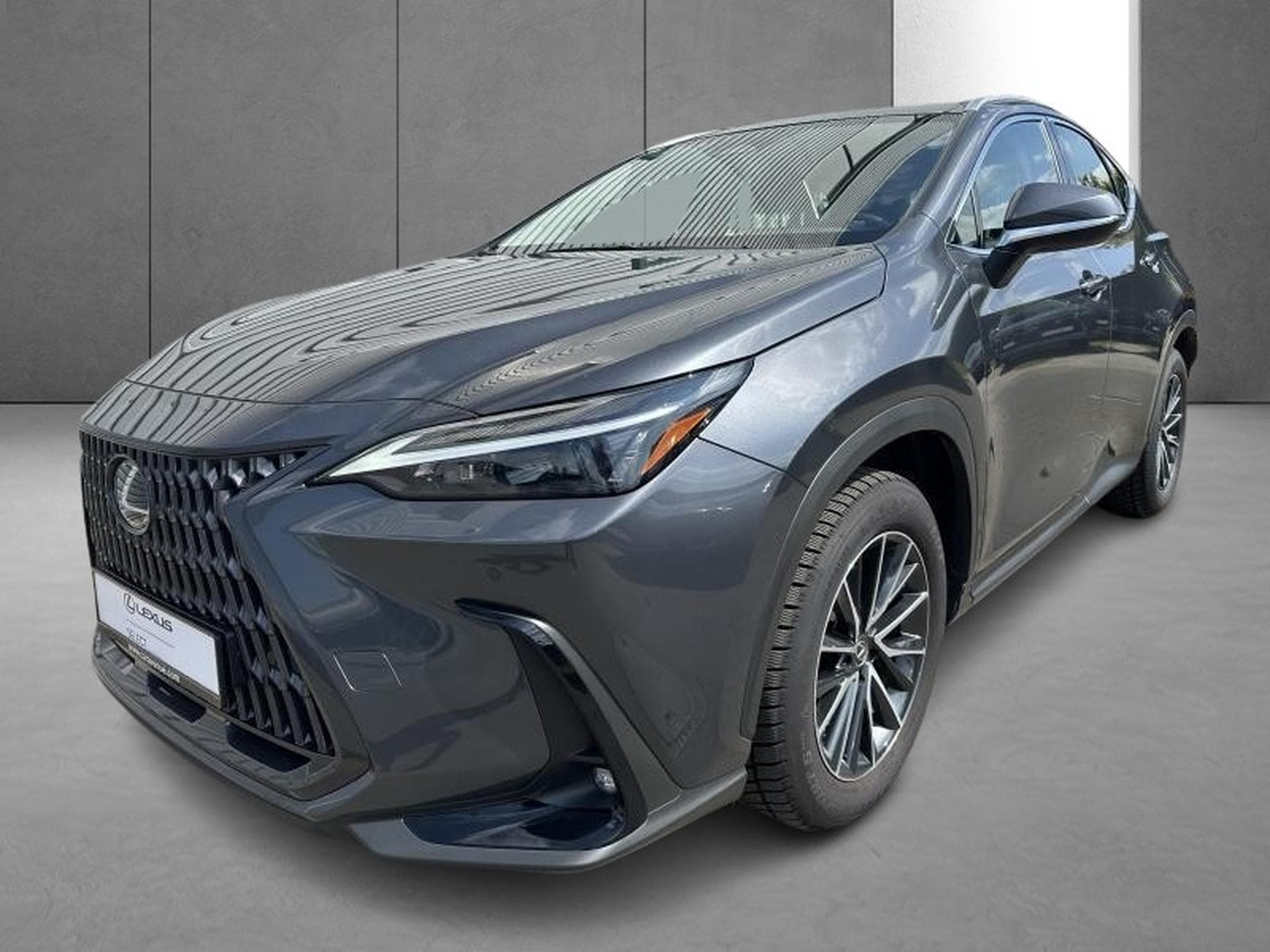 Lexus NX Business Line (2023) - Foto 4