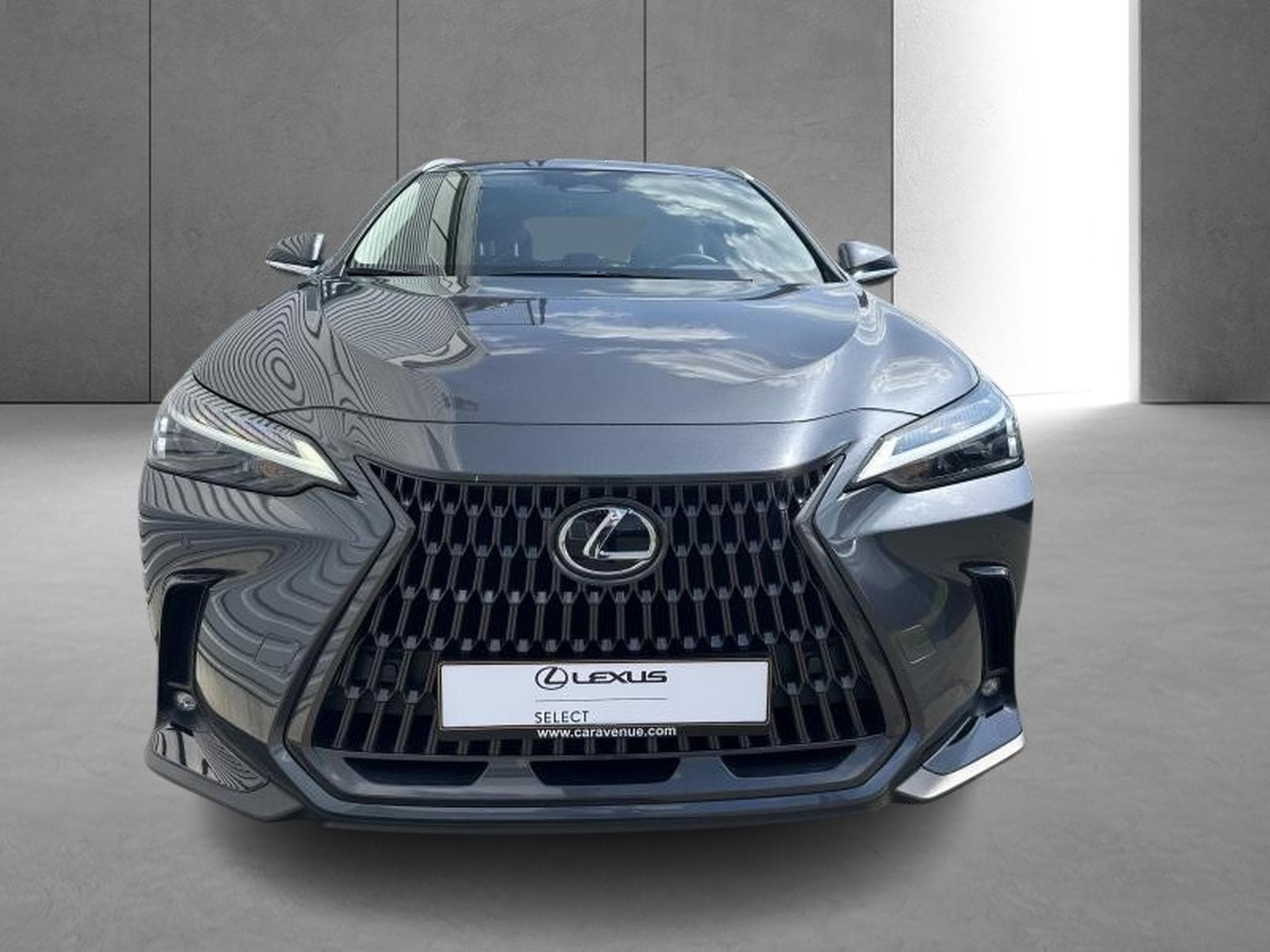 Lexus NX Business Line (2023) - Foto 6