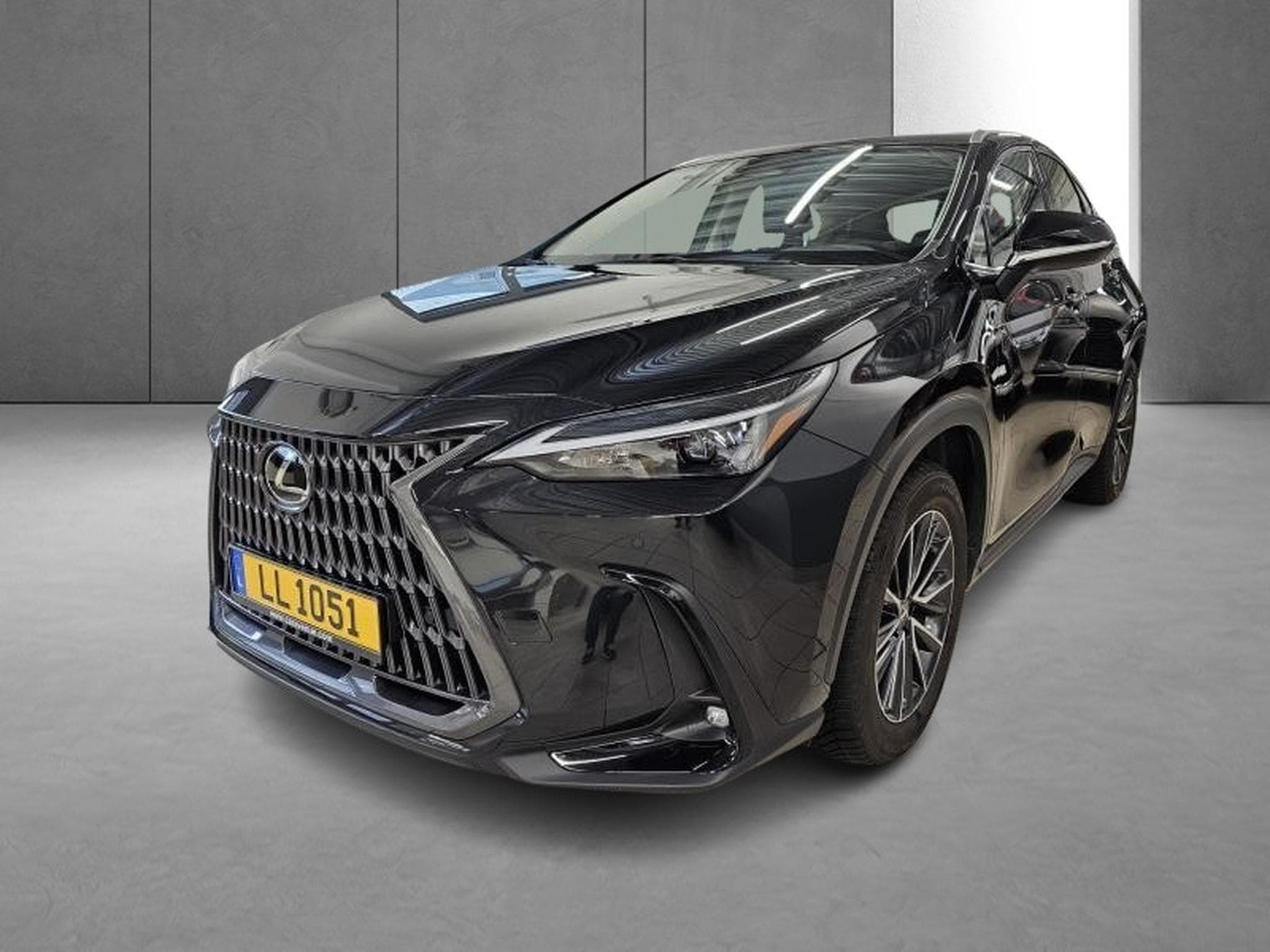 Lexus NX Business Line Awd (2023) - Photo 18