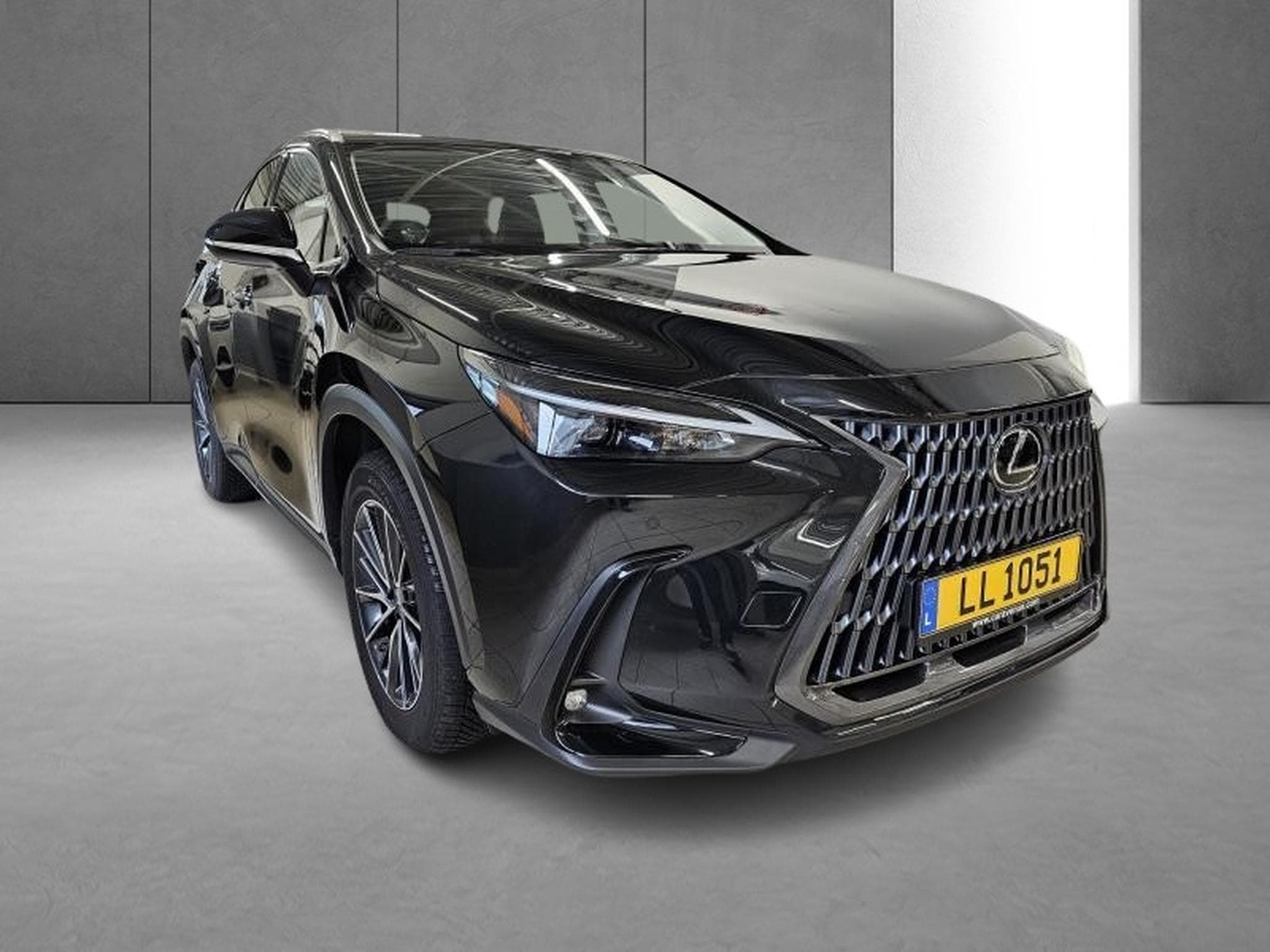 Lexus NX Business Line Awd (2023) - Photo 3