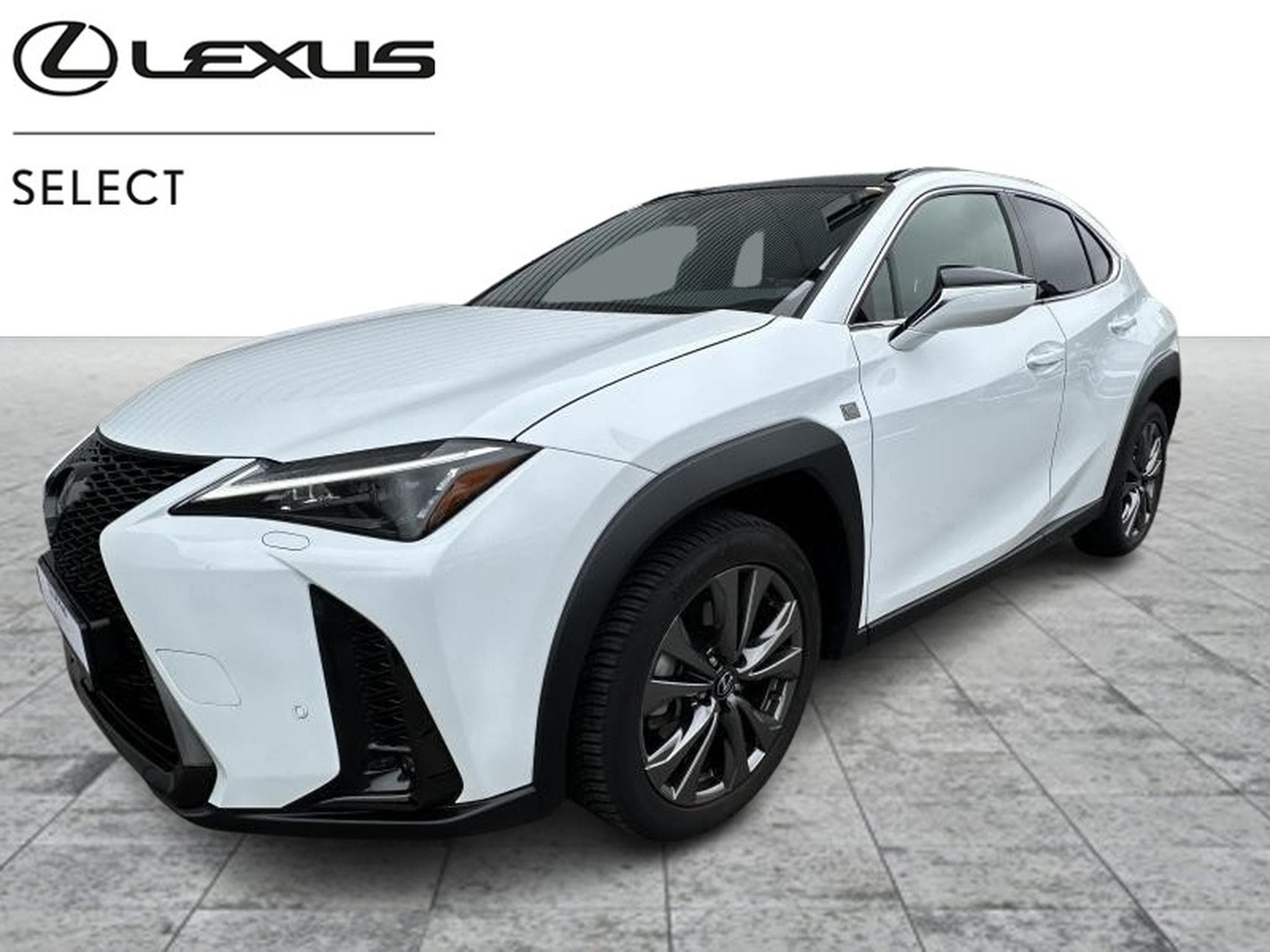 Lexus UX F SPORT Design (2023) - Photo 1