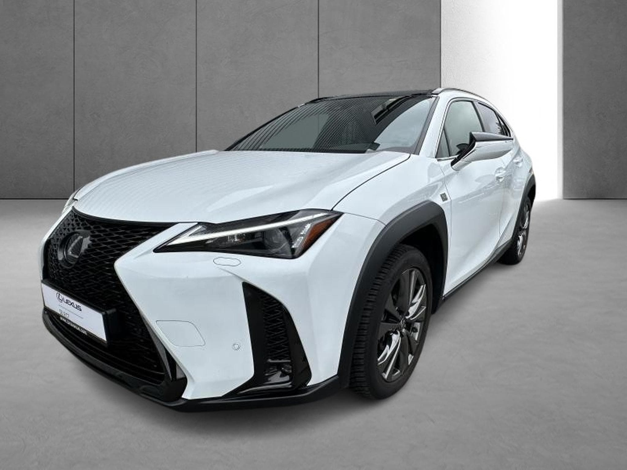 Lexus UX F SPORT Design (2023) - Photo 25