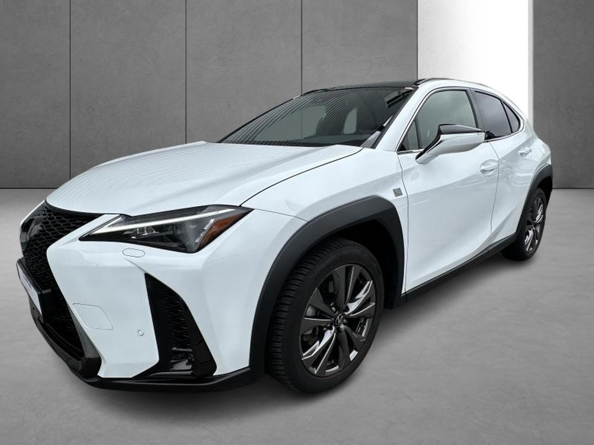Lexus UX F SPORT Design (2023) - Photo 26