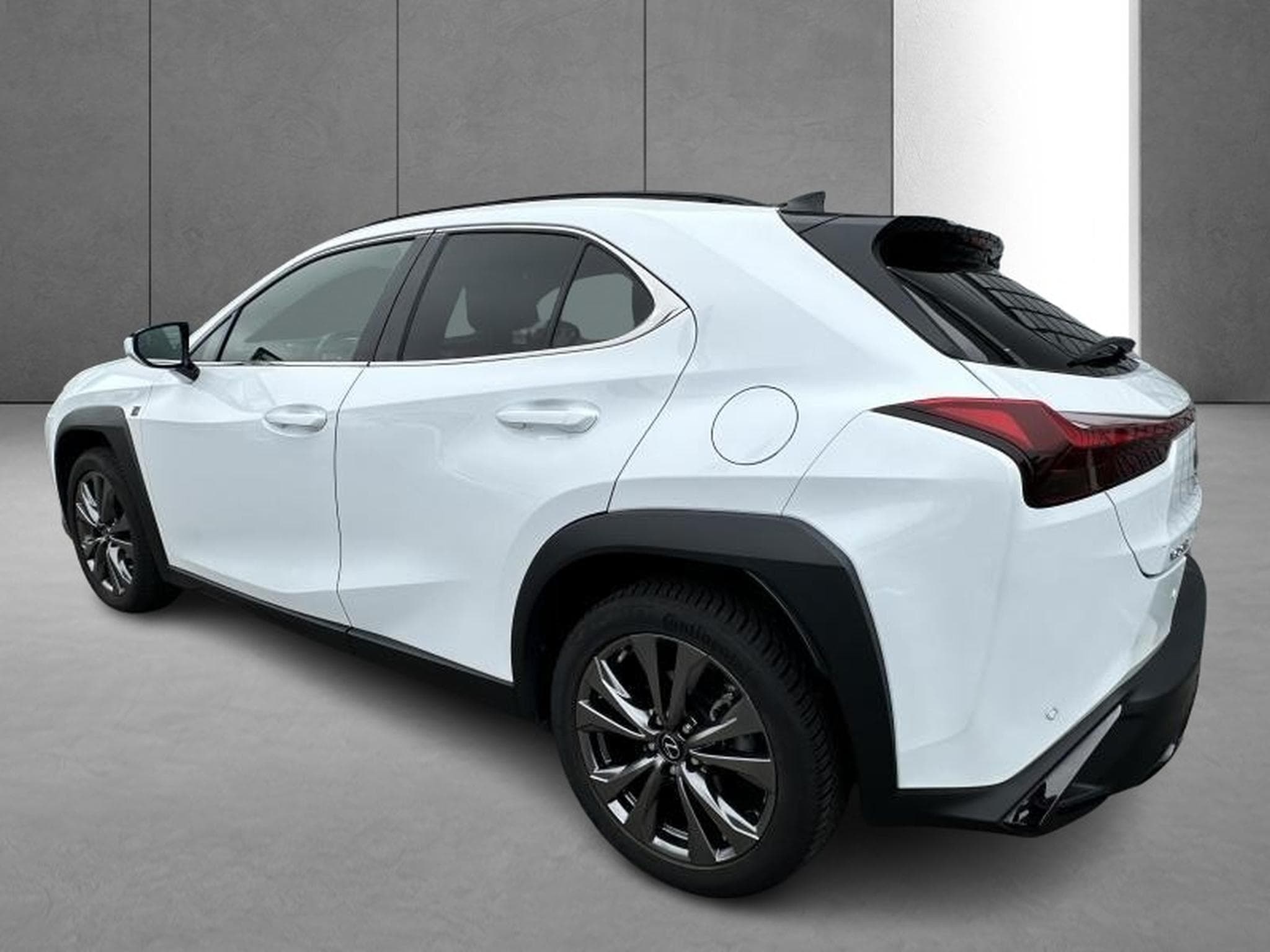 Lexus UX F SPORT Design (2023) - Photo 6