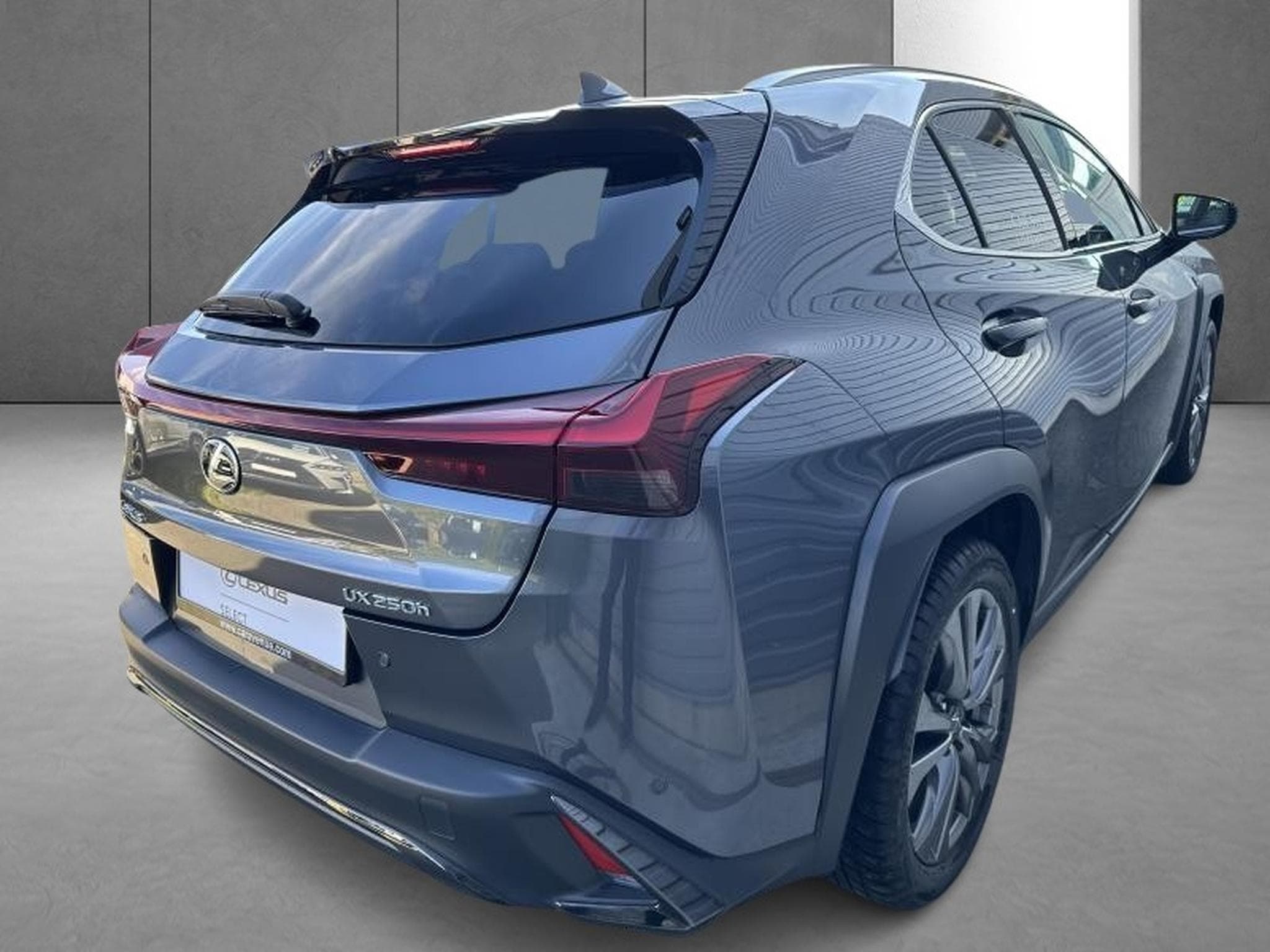 Lexus UX F SPORT Design (2023) - Photo 6