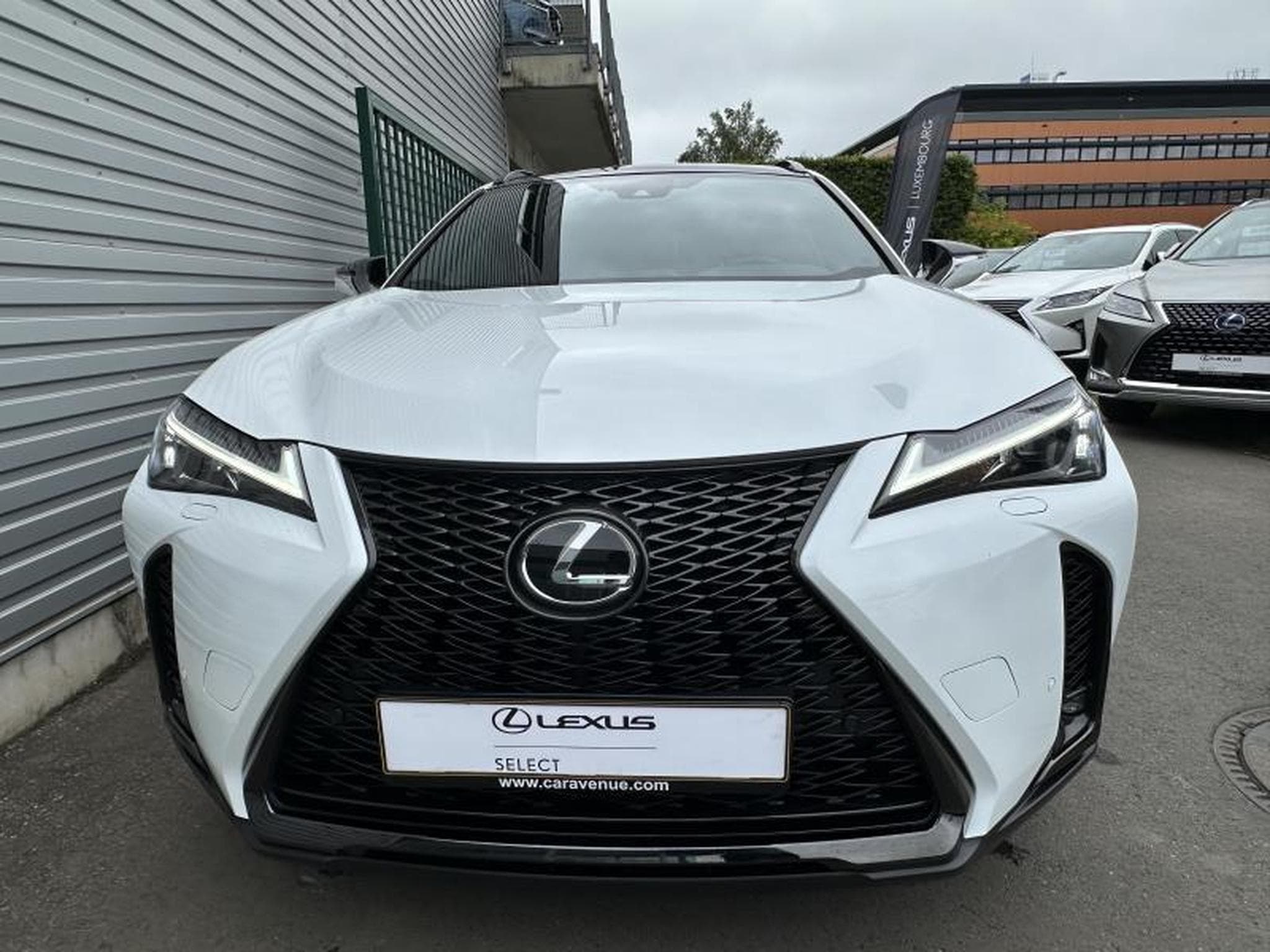 Lexus UX F SPORT Design (2023) - Photo 24