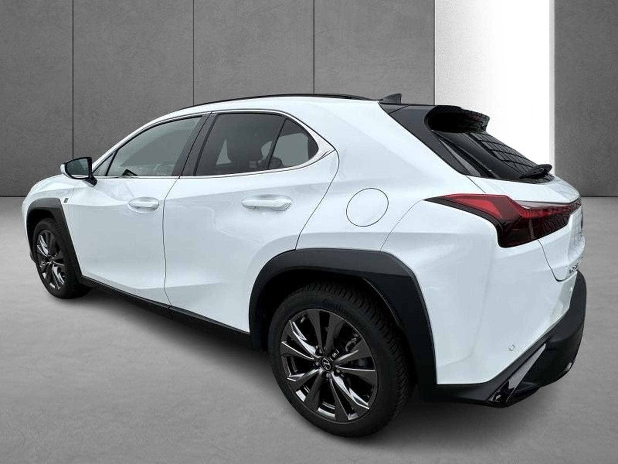 Lexus UX F SPORT Design (2023) - Photo 6