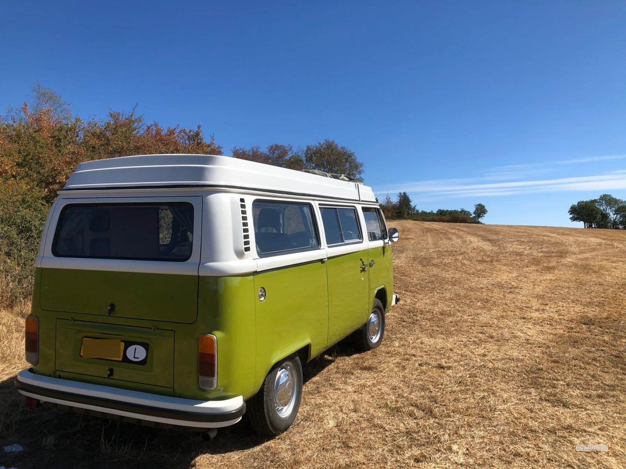 VW T2 (1979) - Photo 3