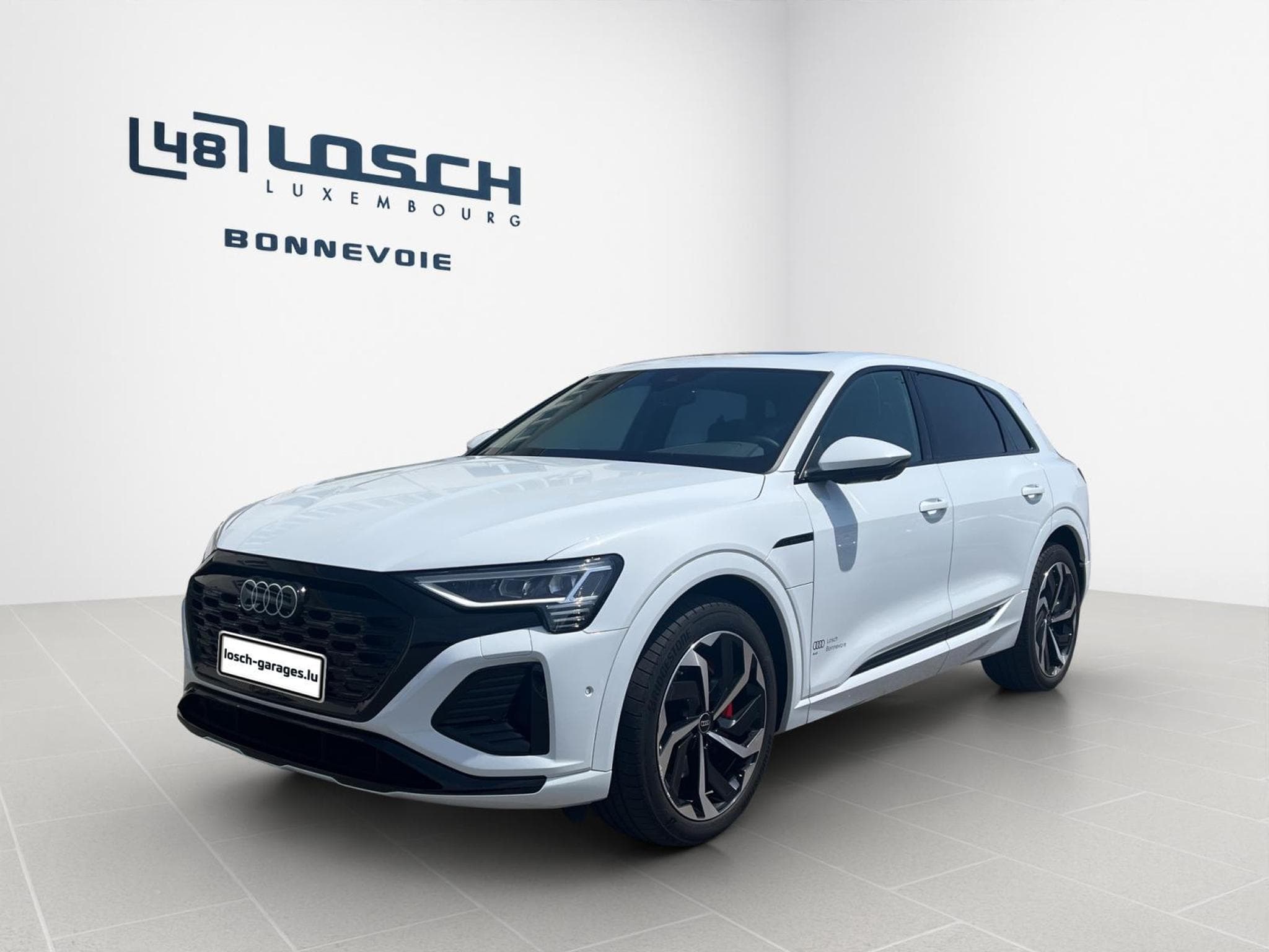 Audi Q8 S line 55 quattro (2024) - Photo 1