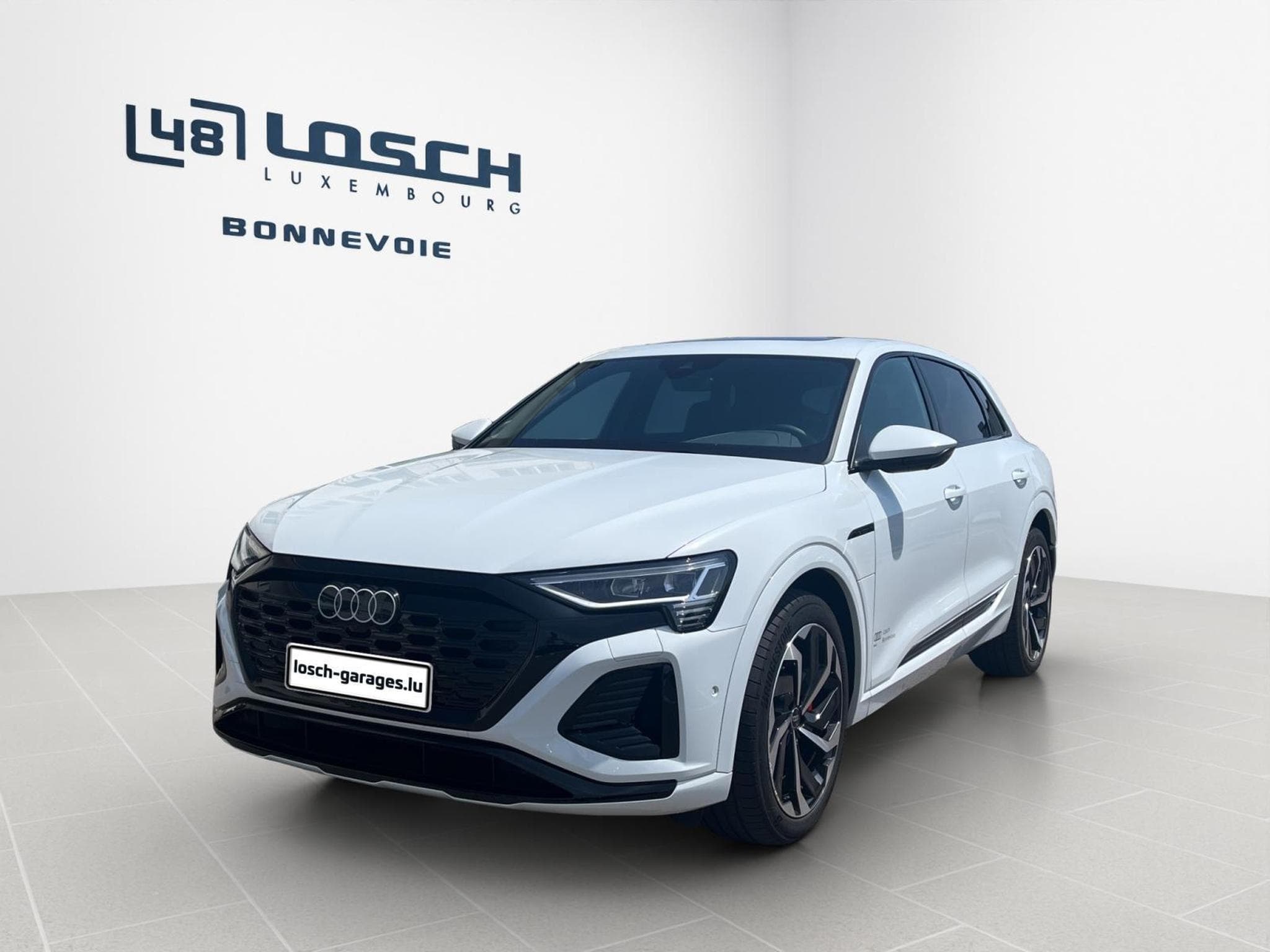 Audi Q8 S line 55 quattro (2024) - Photo 2