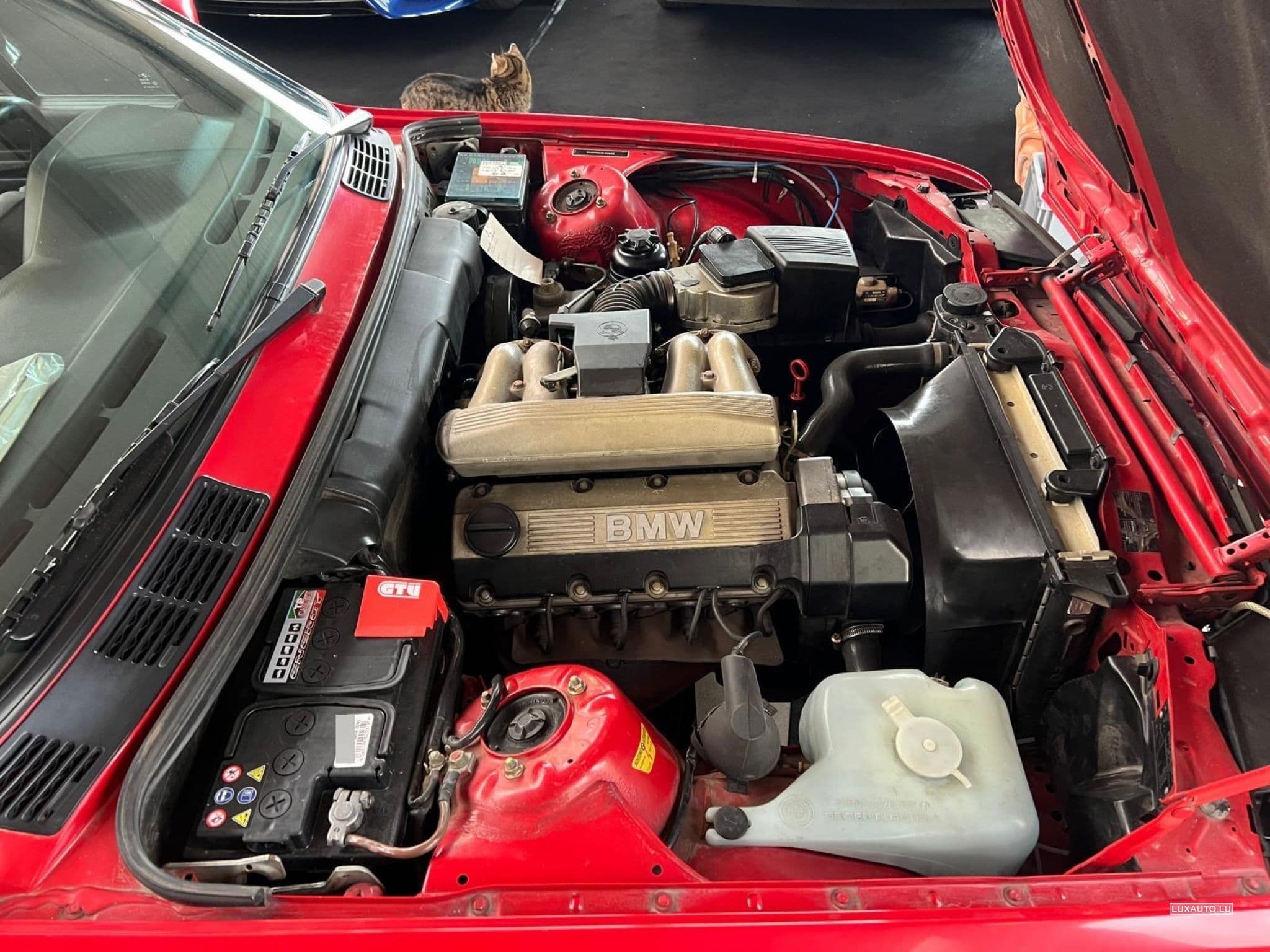 BMW 318 E30 Oldtimer Cabrio TOP M-Design Windschott (1991) - Foto 8