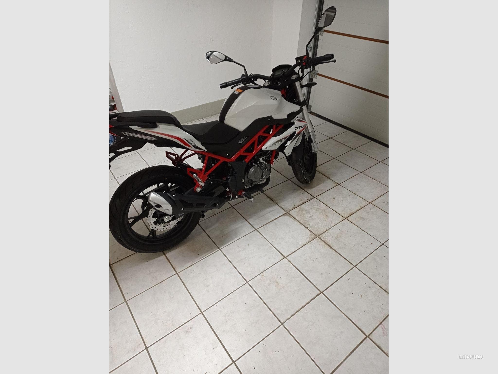 Benelli BN (2021) - Photo 2