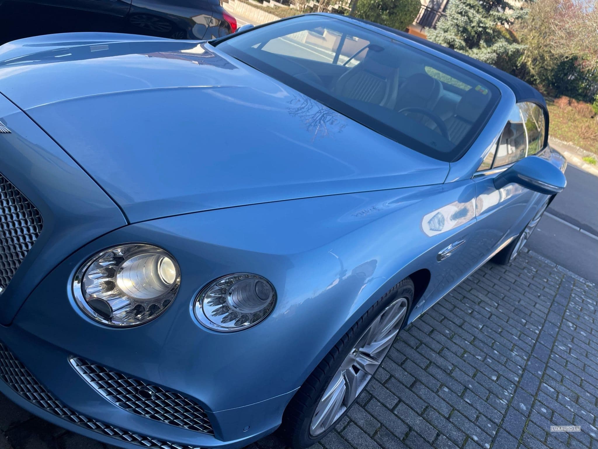 Bentley Continental GTC (2016) - Photo 5