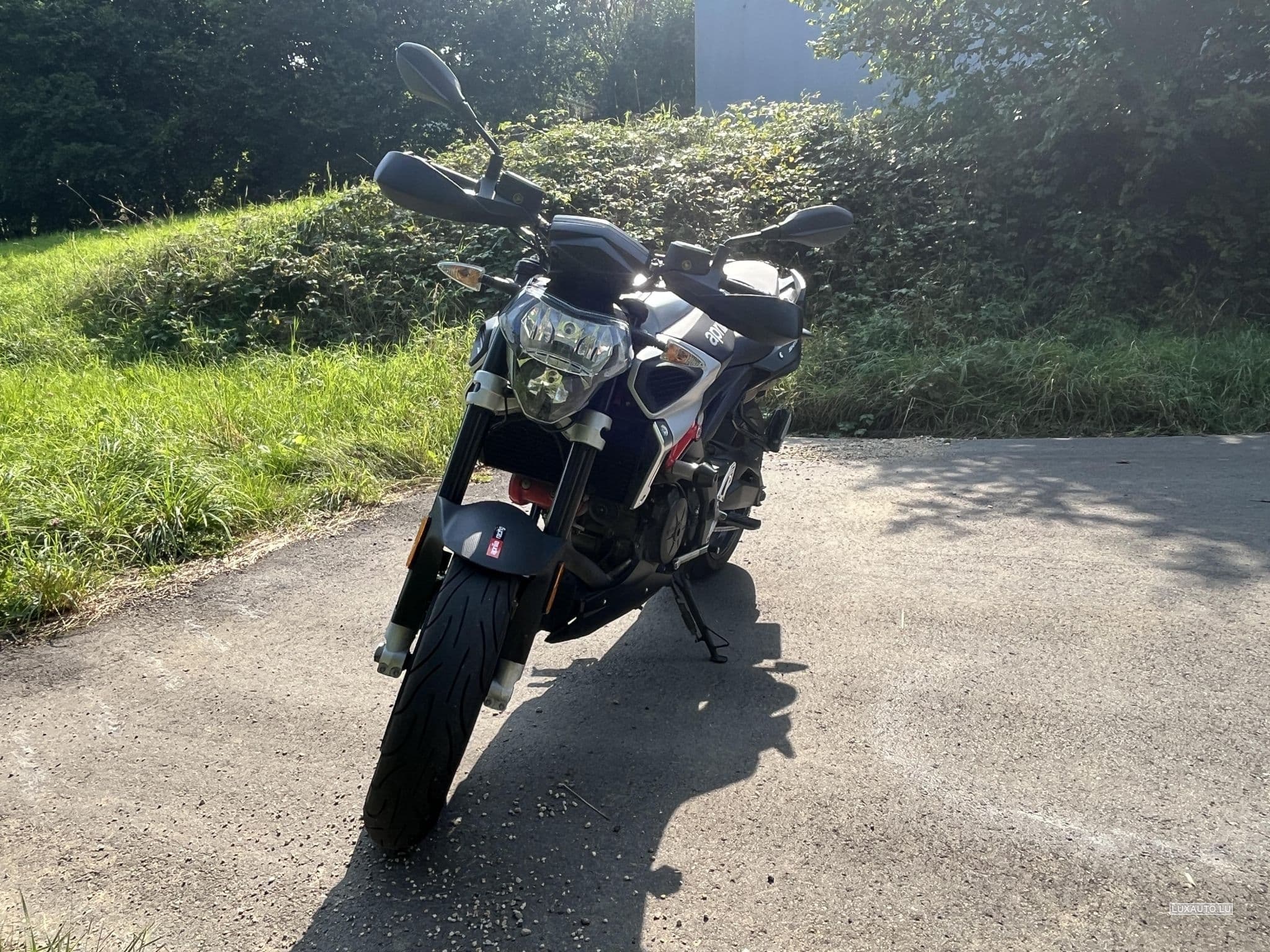 Aprilia Shiver Ligne Akrapovic (2019) - Foto 10