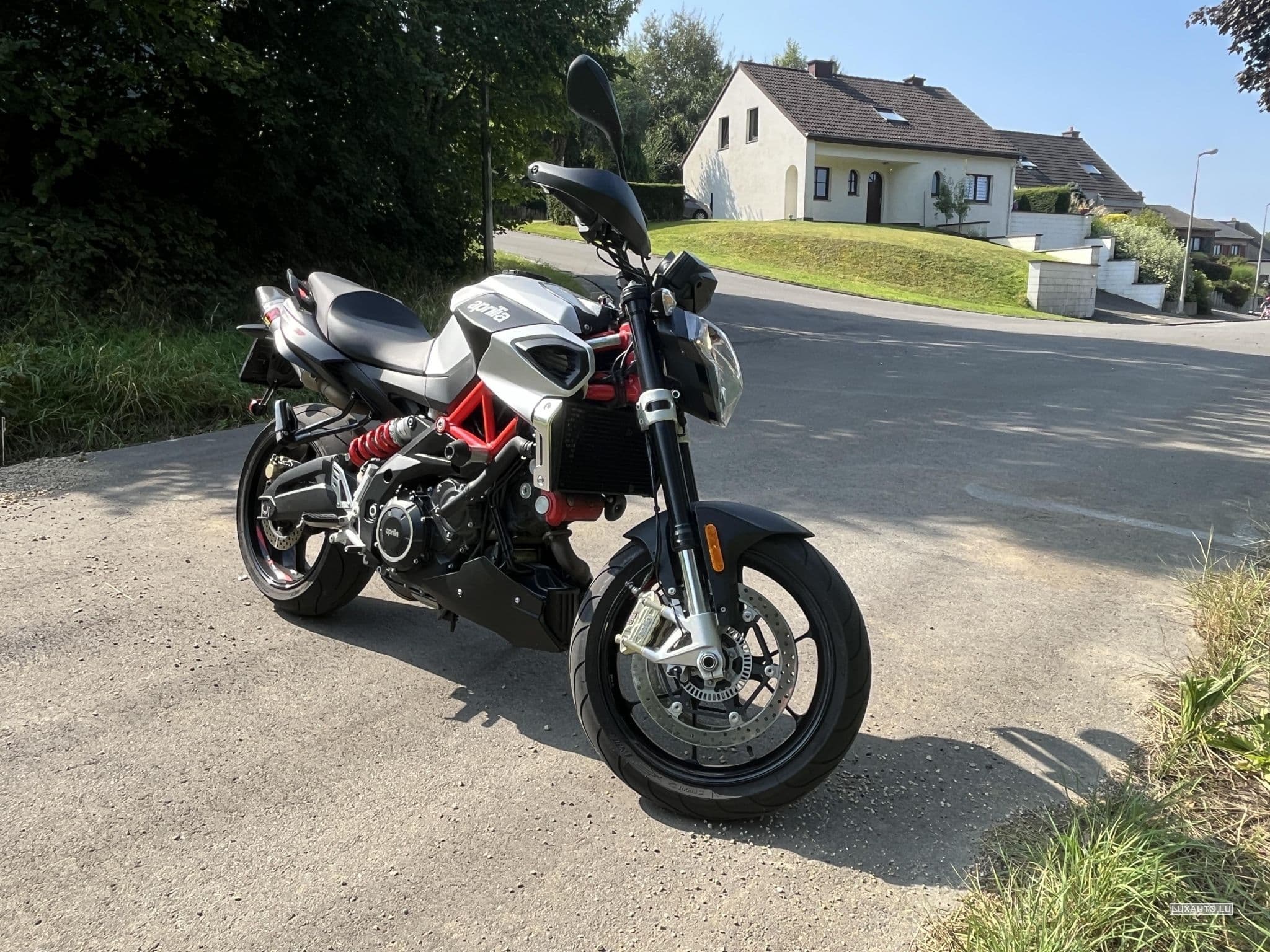 Aprilia Shiver Ligne Akrapovic (2019) - Foto 11