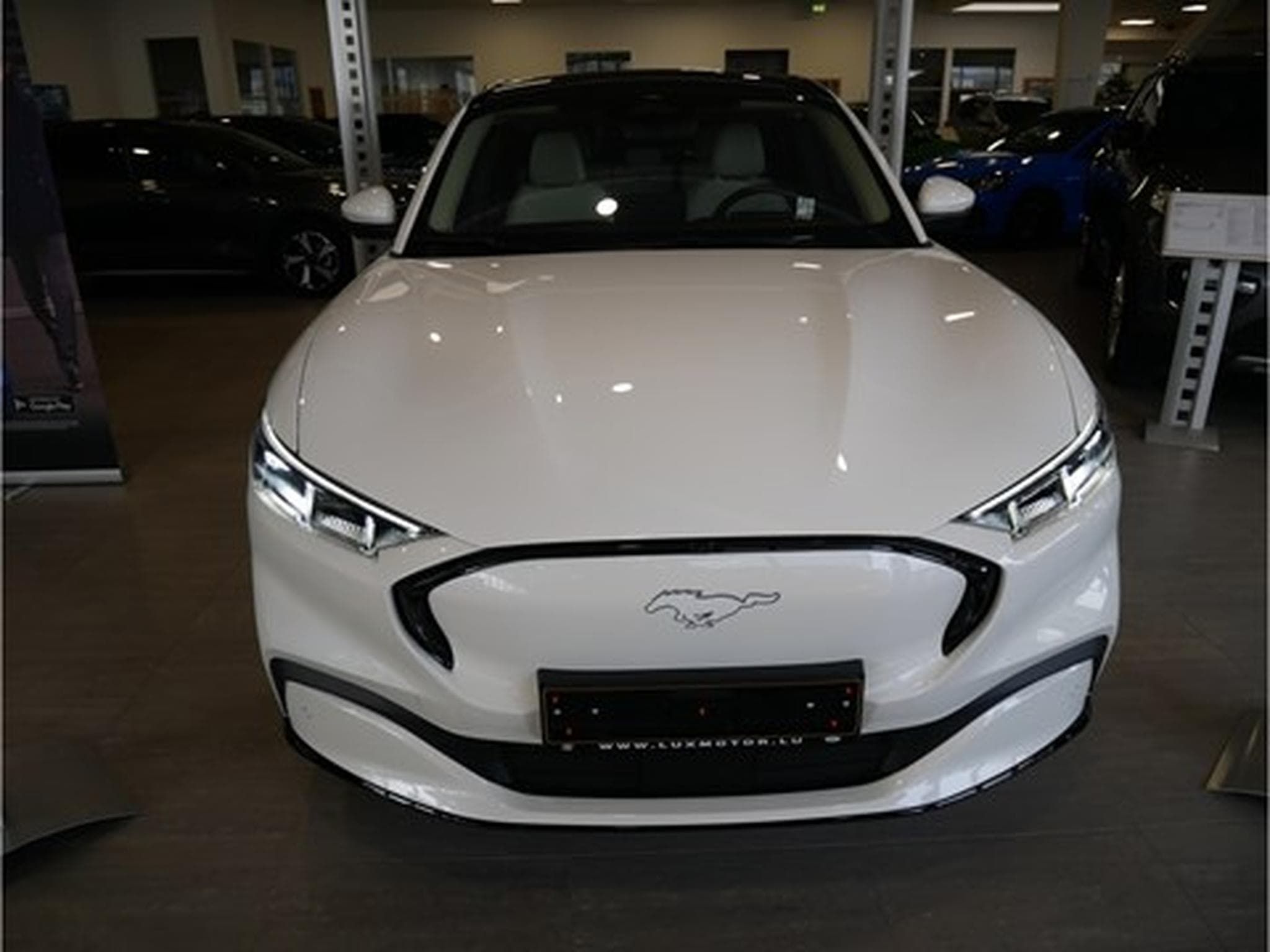 Ford Mustang Mach-E AWD 99kWh Extended Range 351cv/258kW - A1 GAR 0182031 (2023) - Photo 3