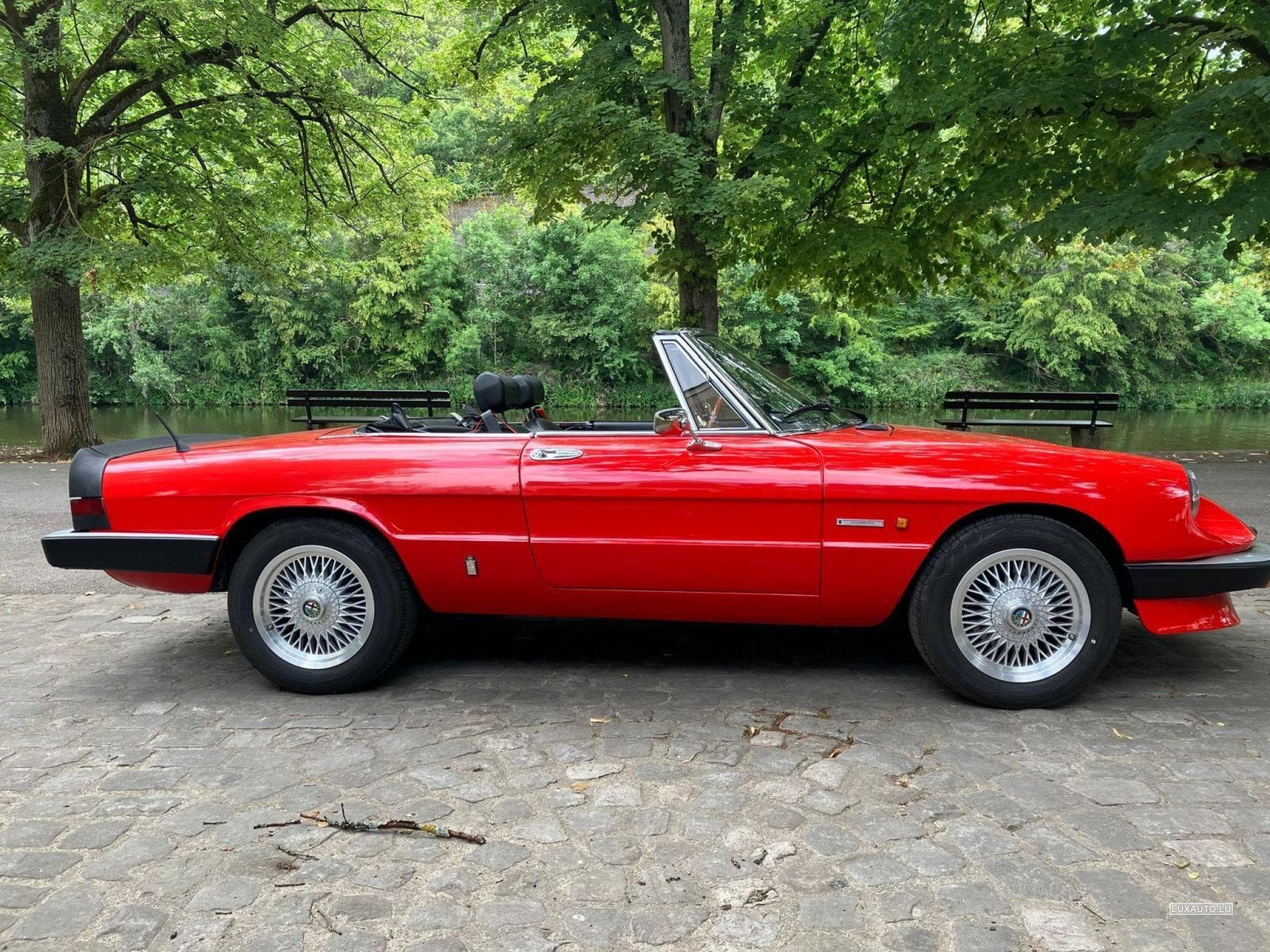 Alfa-Romeo Spider (1982) - Photo 2