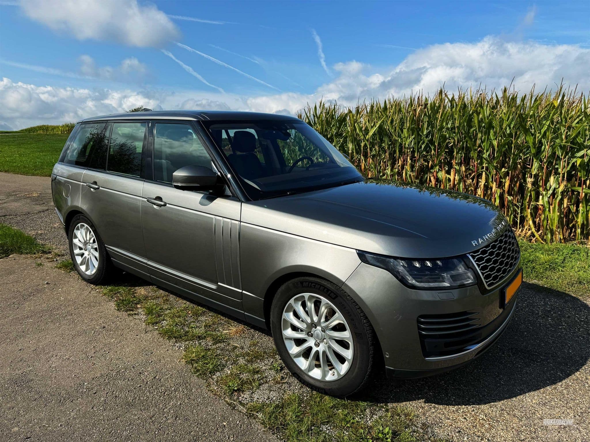 Land-Rover Range Rover P525 VOGUE/PANORAMA/AHK/TOP/*VOLL* (2020) - Foto 13