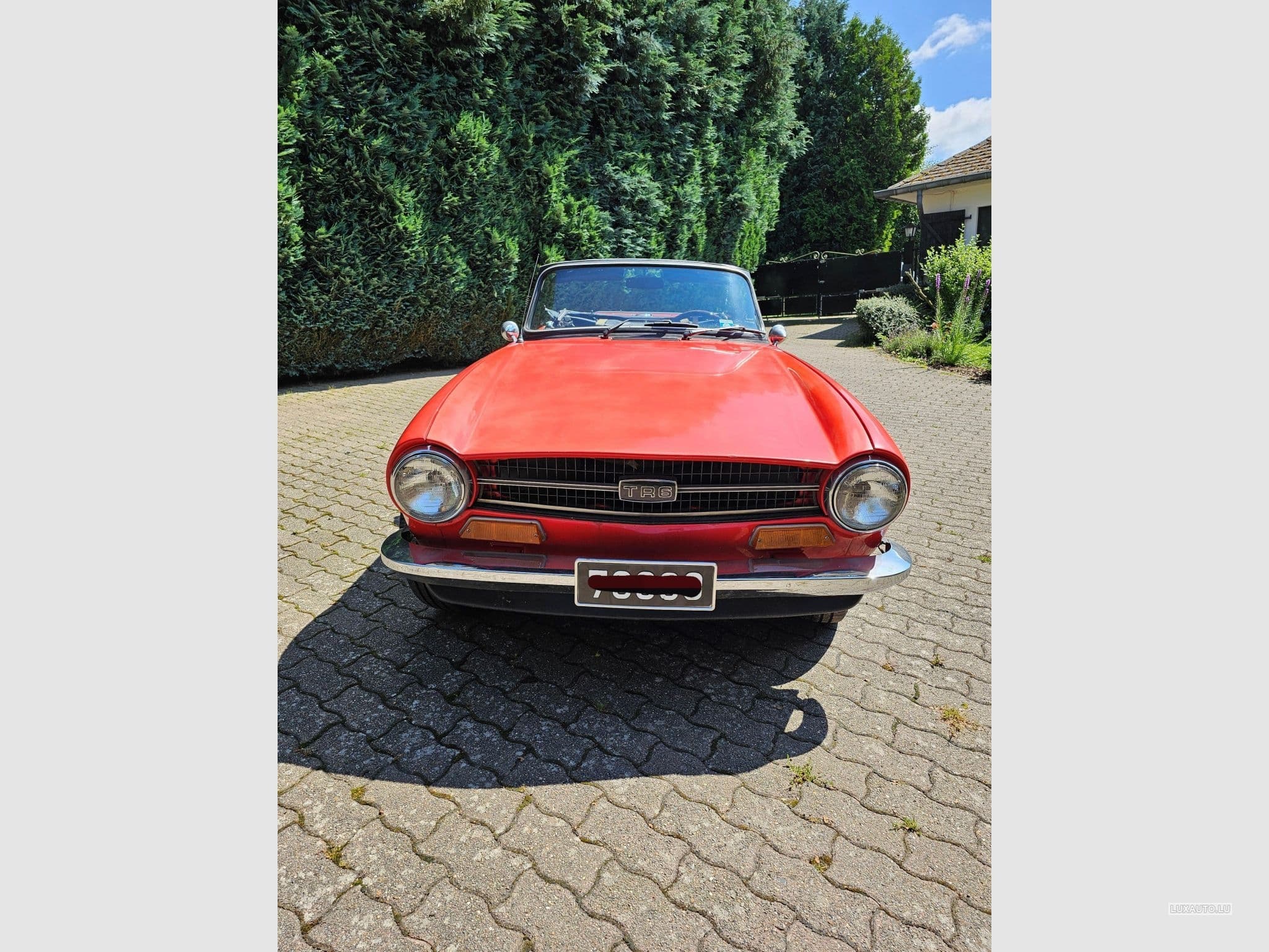 Triumph TR6 (1973) - Photo 6