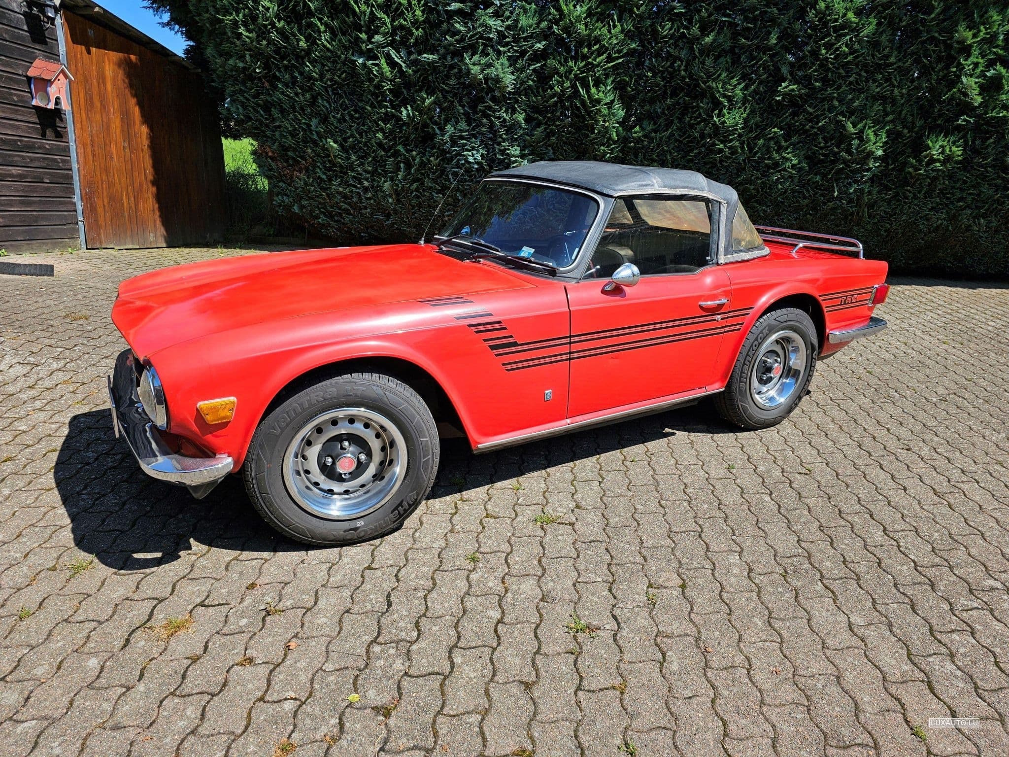 Triumph TR6 (1973) - Photo 7