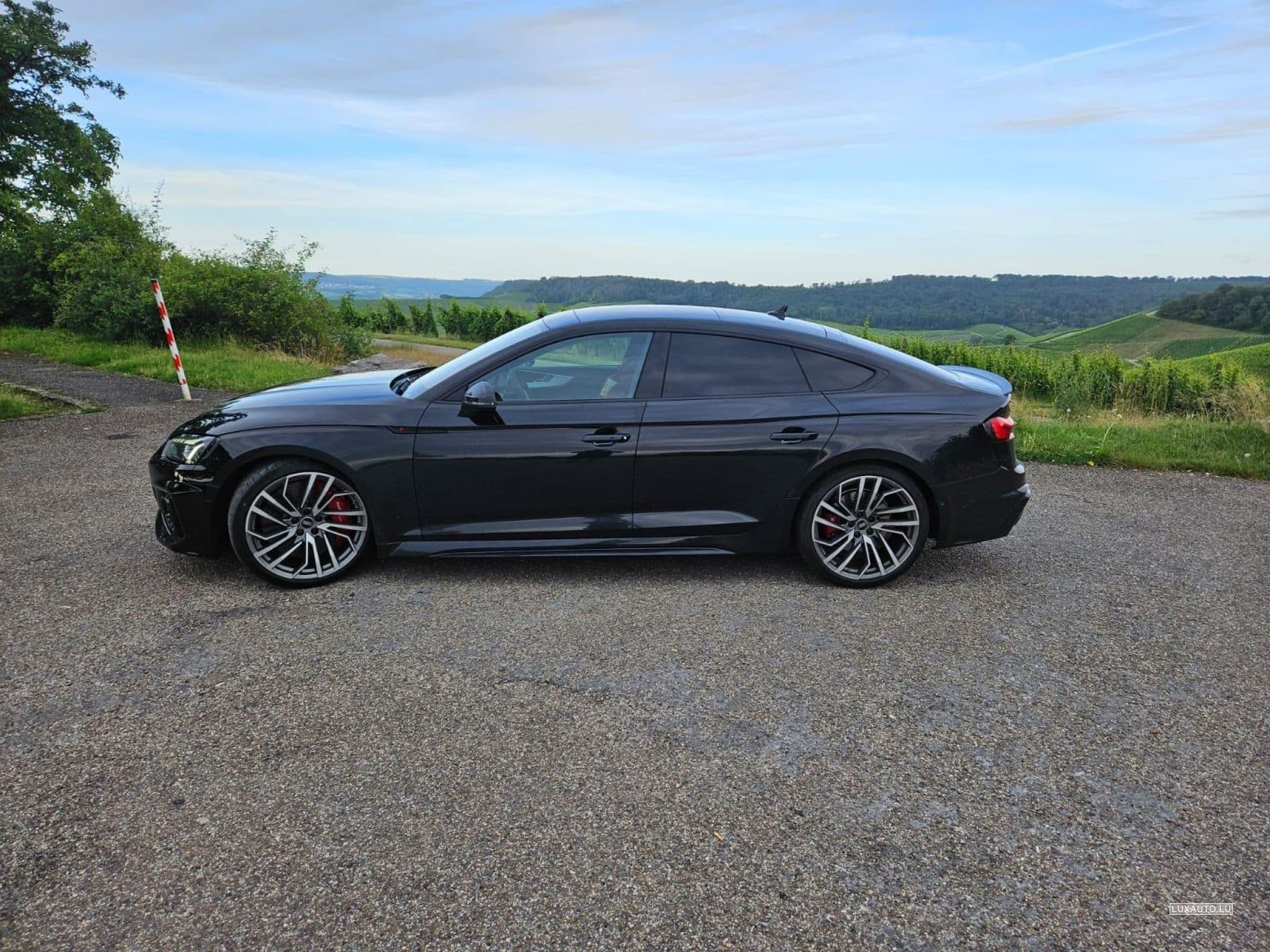 Audi RS5 (2023) - Foto 1