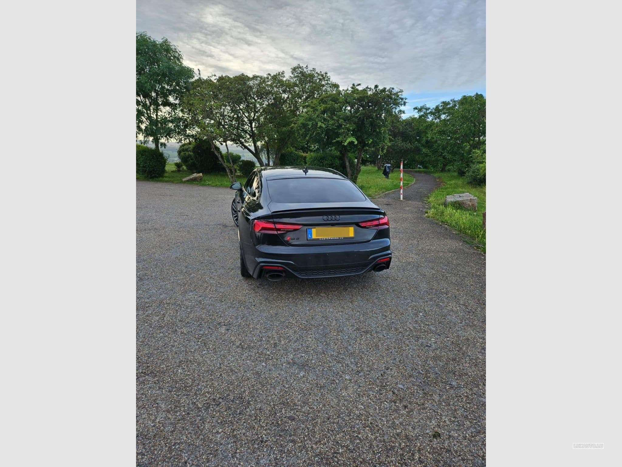 Audi RS5 (2023) - Foto 2