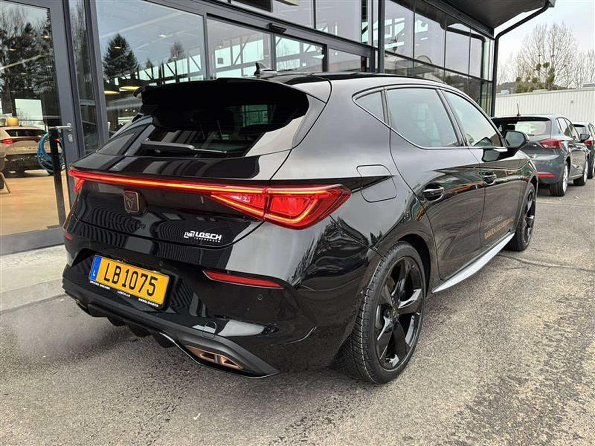 Cupra Leon VZ (2024) - Photo 15