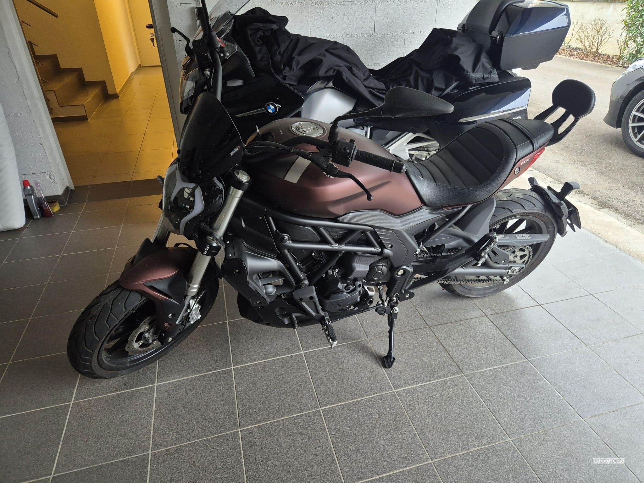 Benelli 502 C (2022) - Foto 1