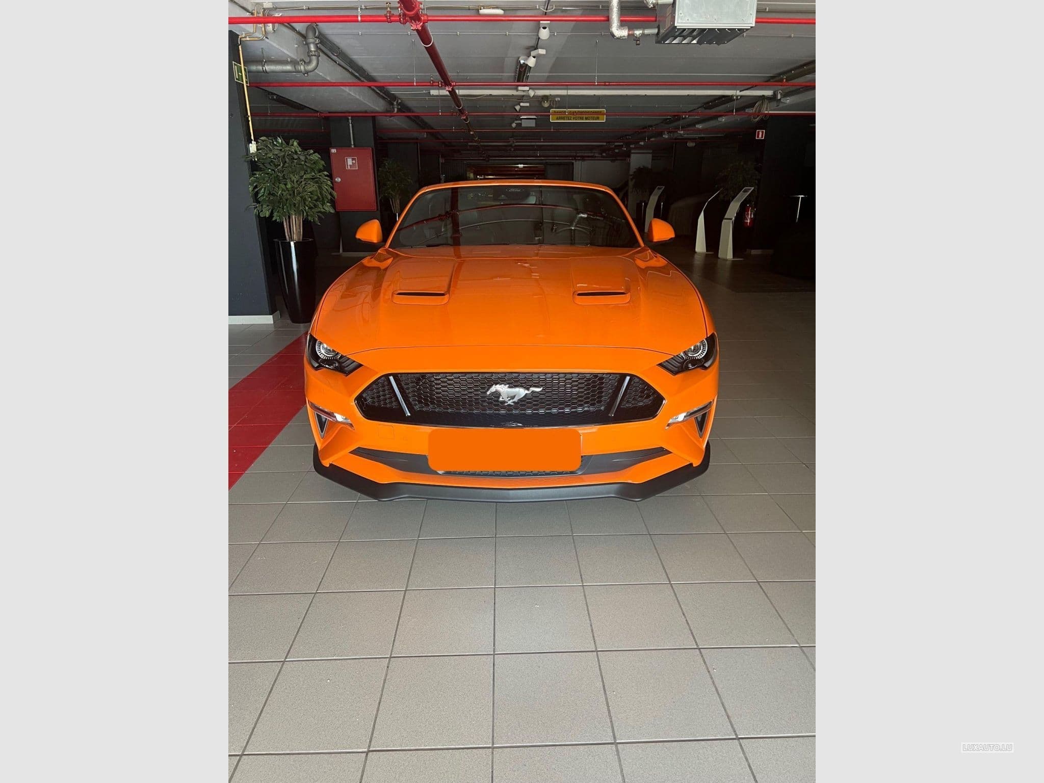 Ford Mustang GT (2022) - Foto 1