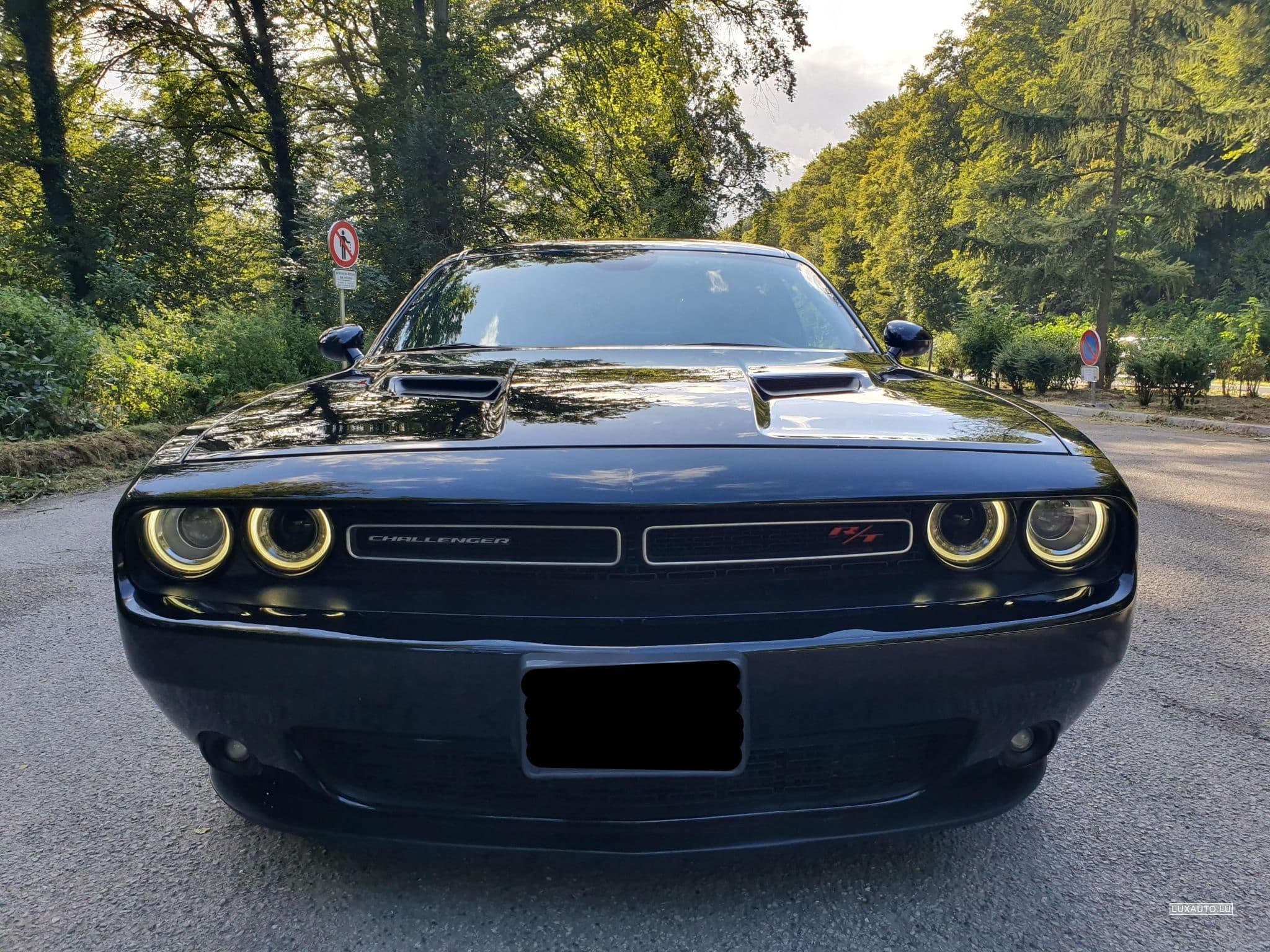 Dodge Challenger 5.7 R/T V8 HEMI 381 CV (2016) - Photo 2