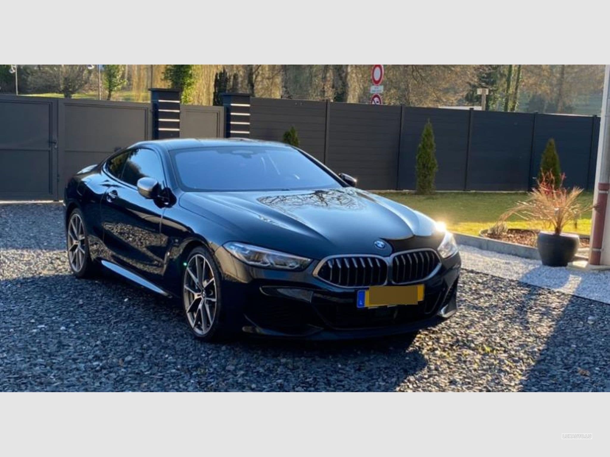 BMW M850 (2019) - Photo 2