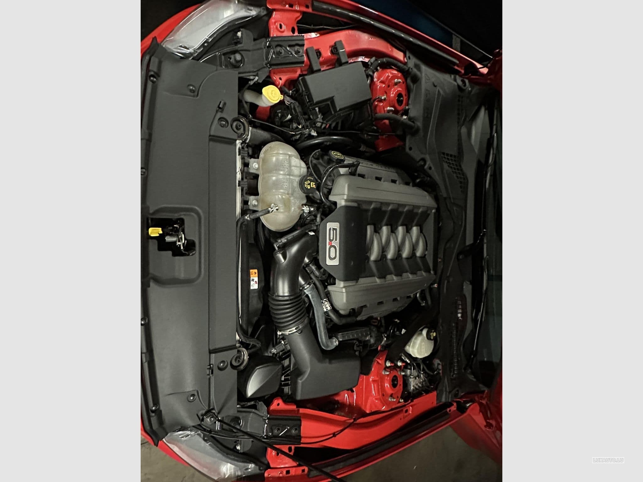 Ford Mustang GT (2017) - Photo 12