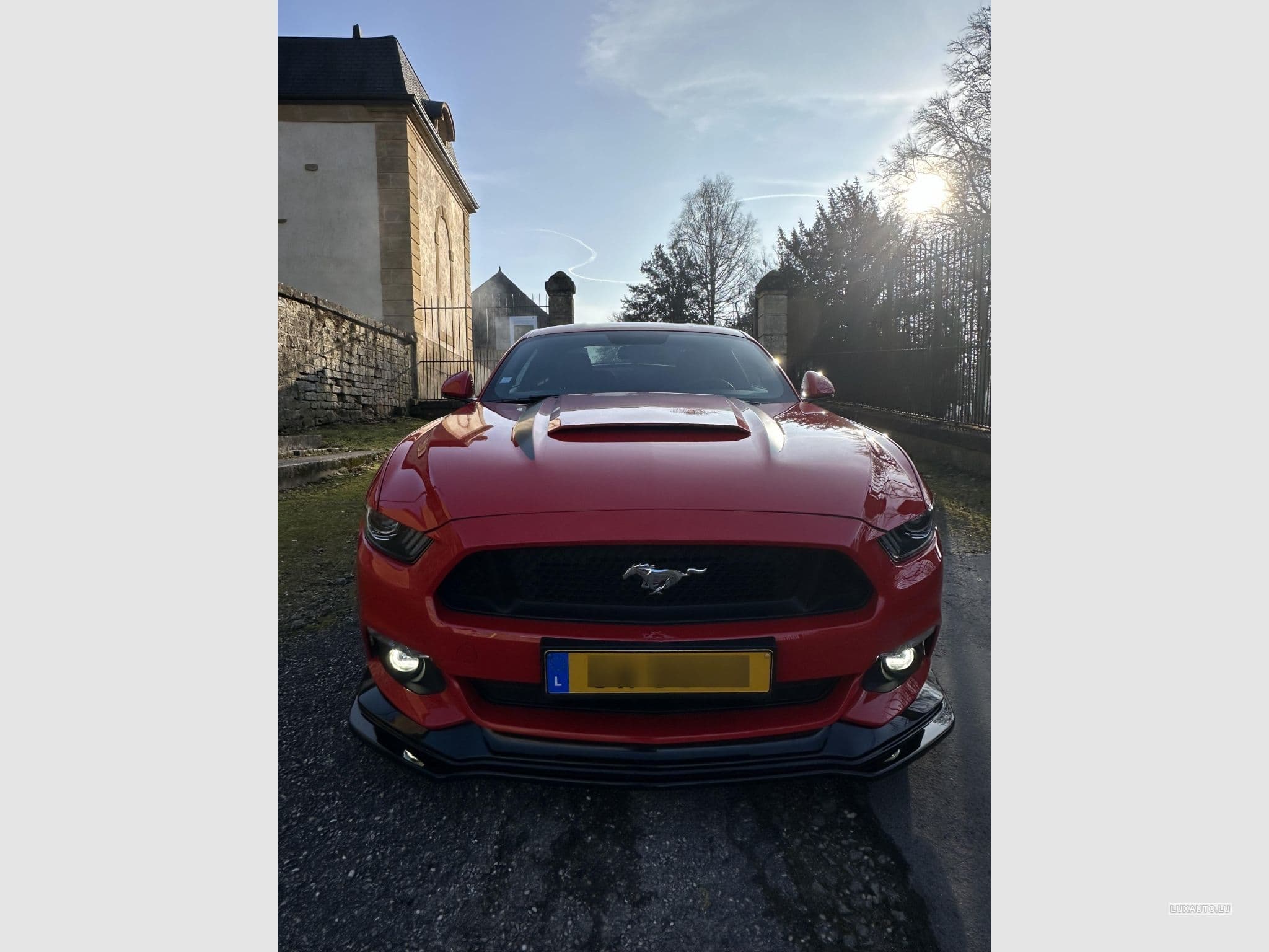 Ford Mustang GT (2017) - Photo 2
