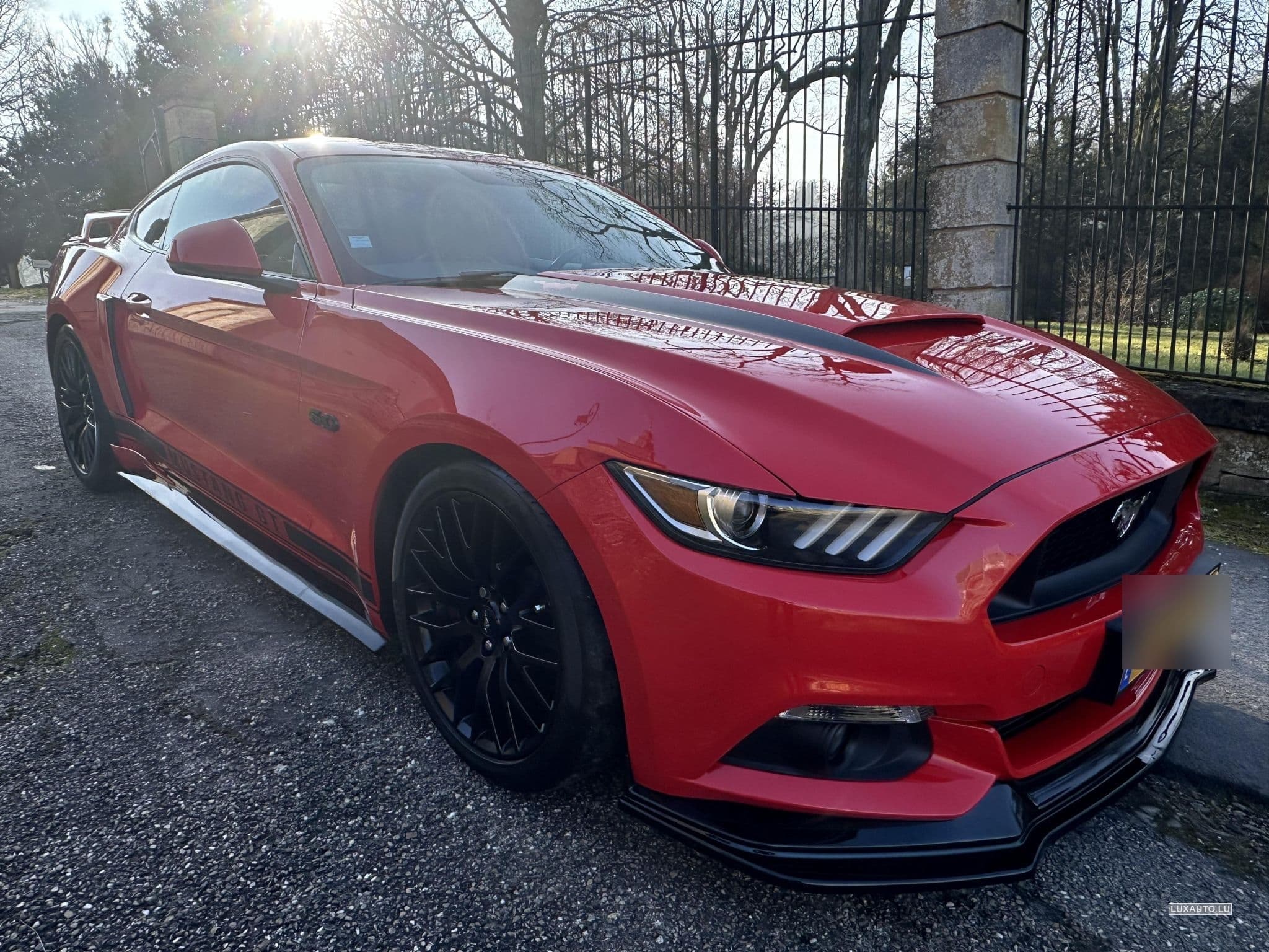 Ford Mustang GT (2017) - Photo 6
