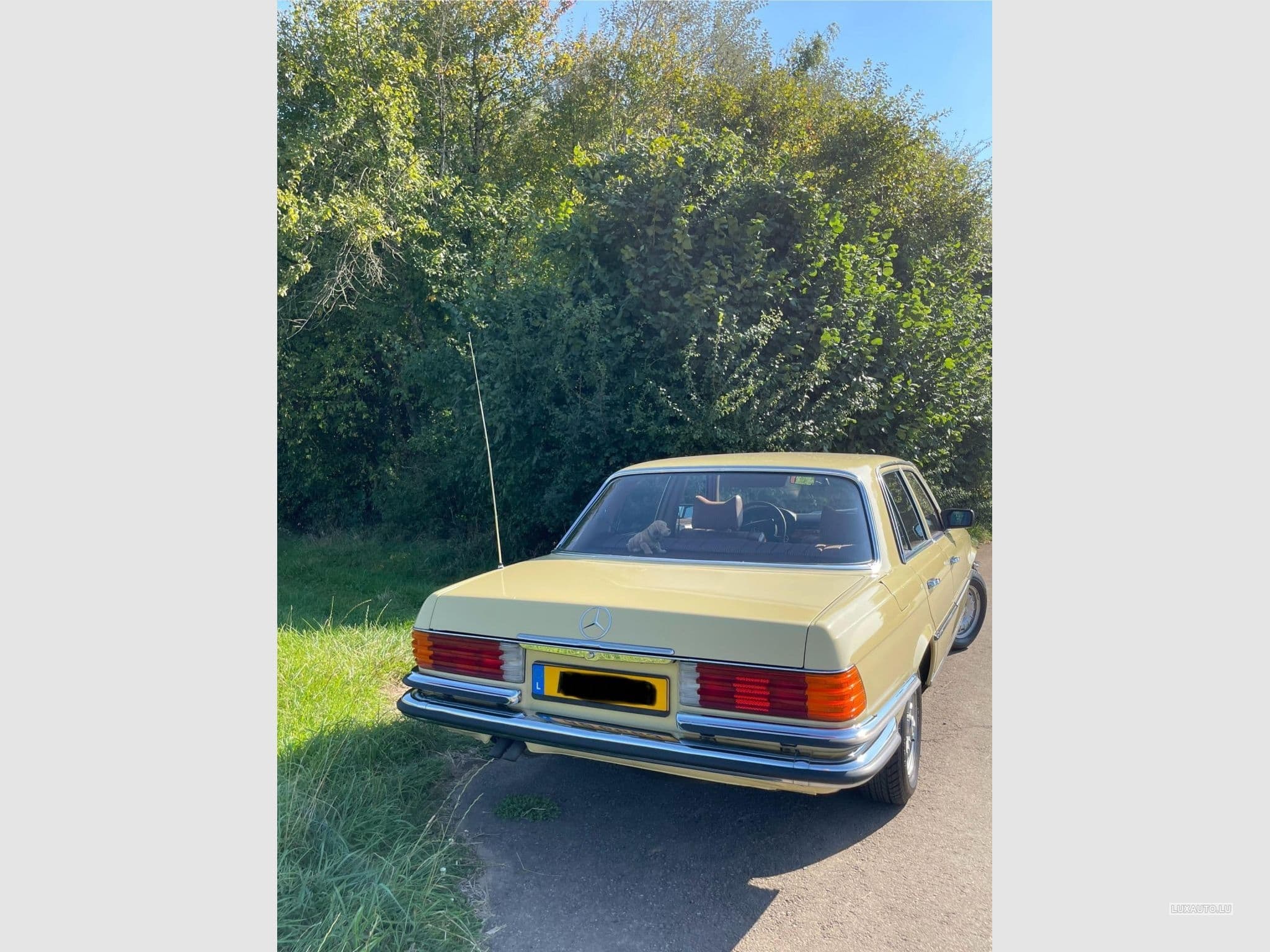 Mercedes SE 280 (W116) (1976) - Foto 4