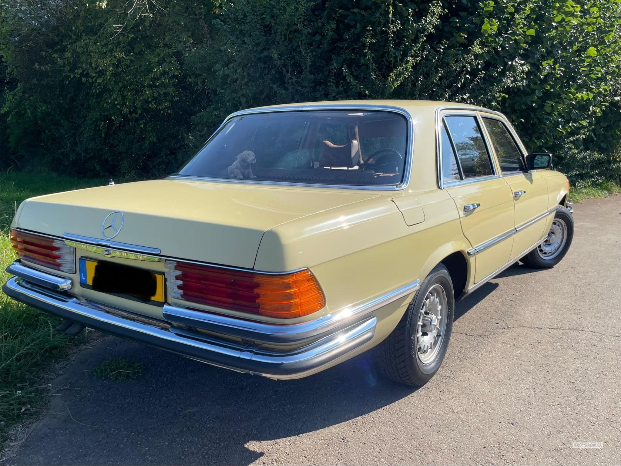 Mercedes SE 280 (W116) (1976) - Foto 5