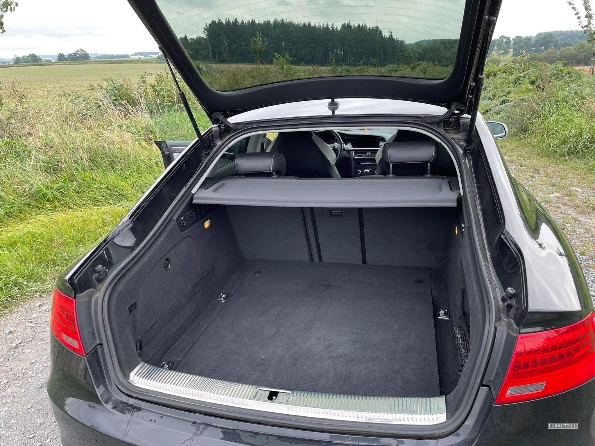 Audi S5 (2014) - Foto 1