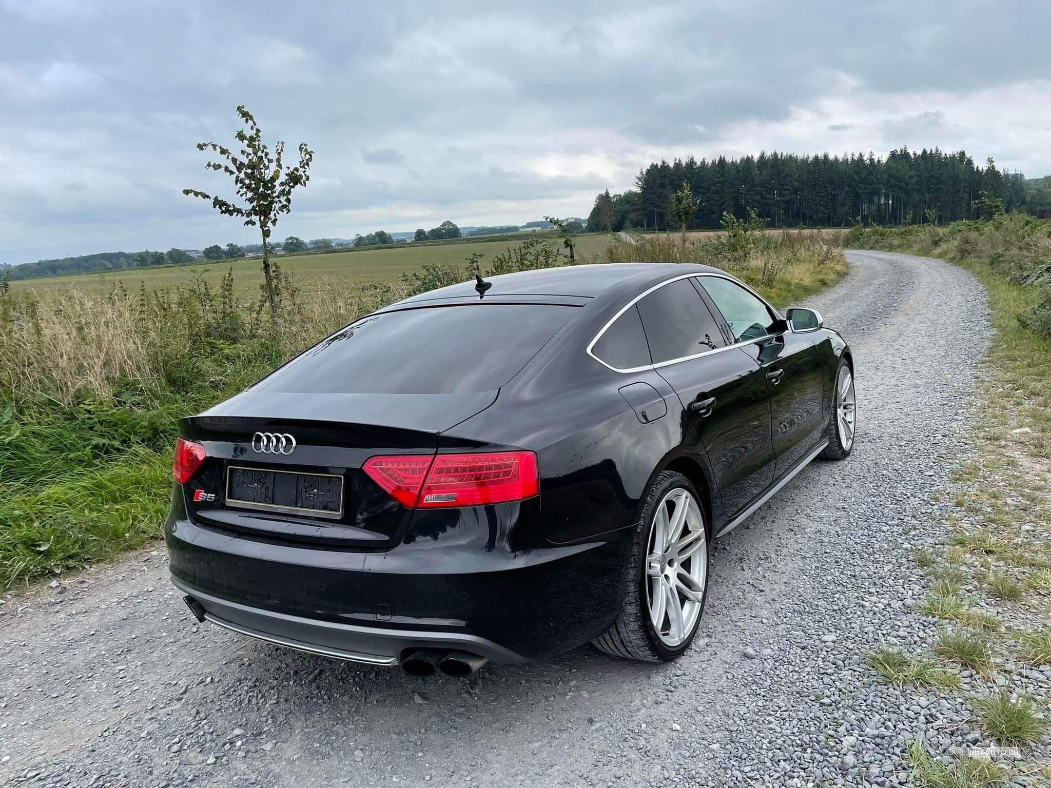Audi S5 (2014) - Foto 2